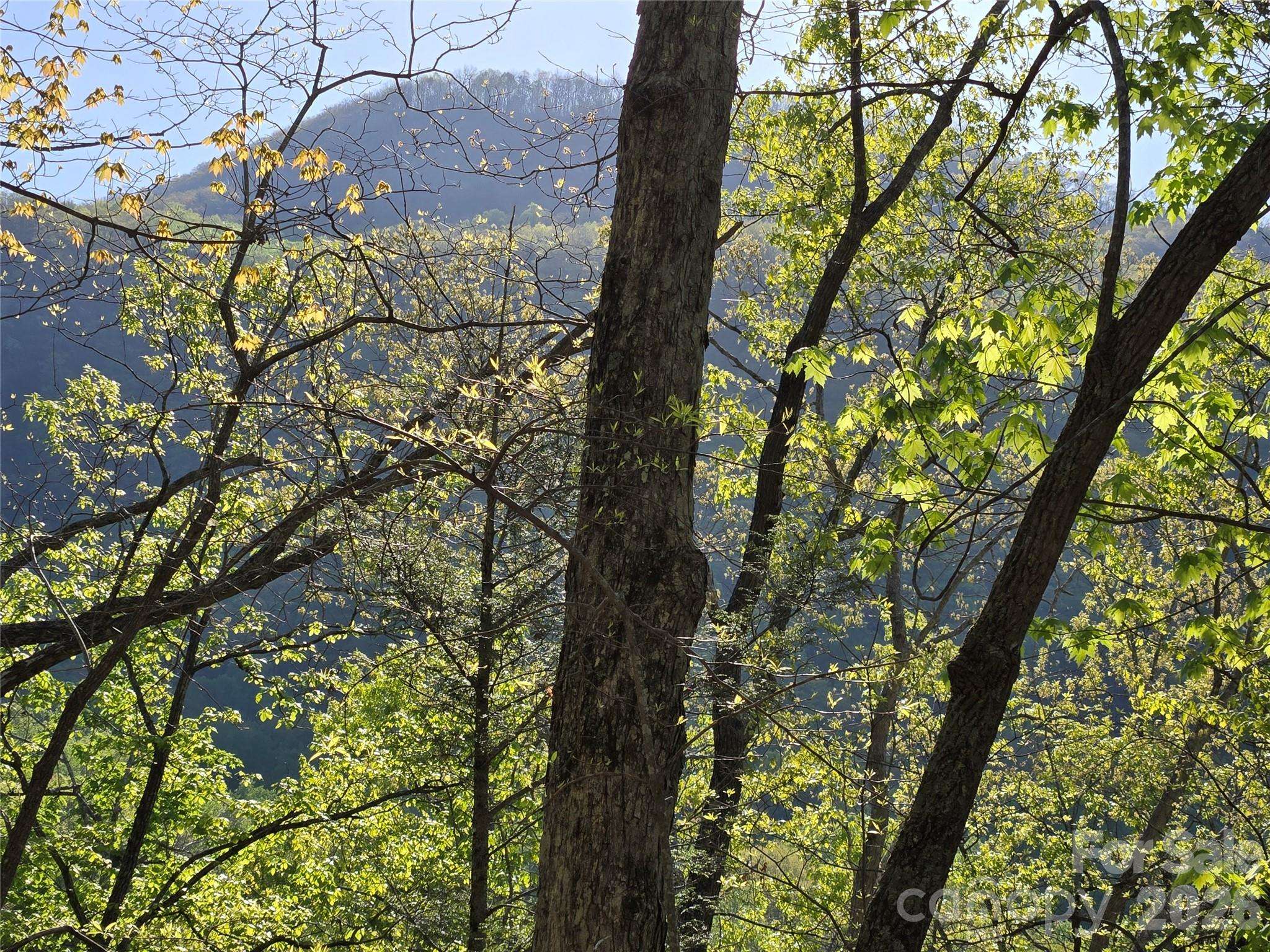 Lot 164 Spanarkel LN, Lake Lure, NC 28746