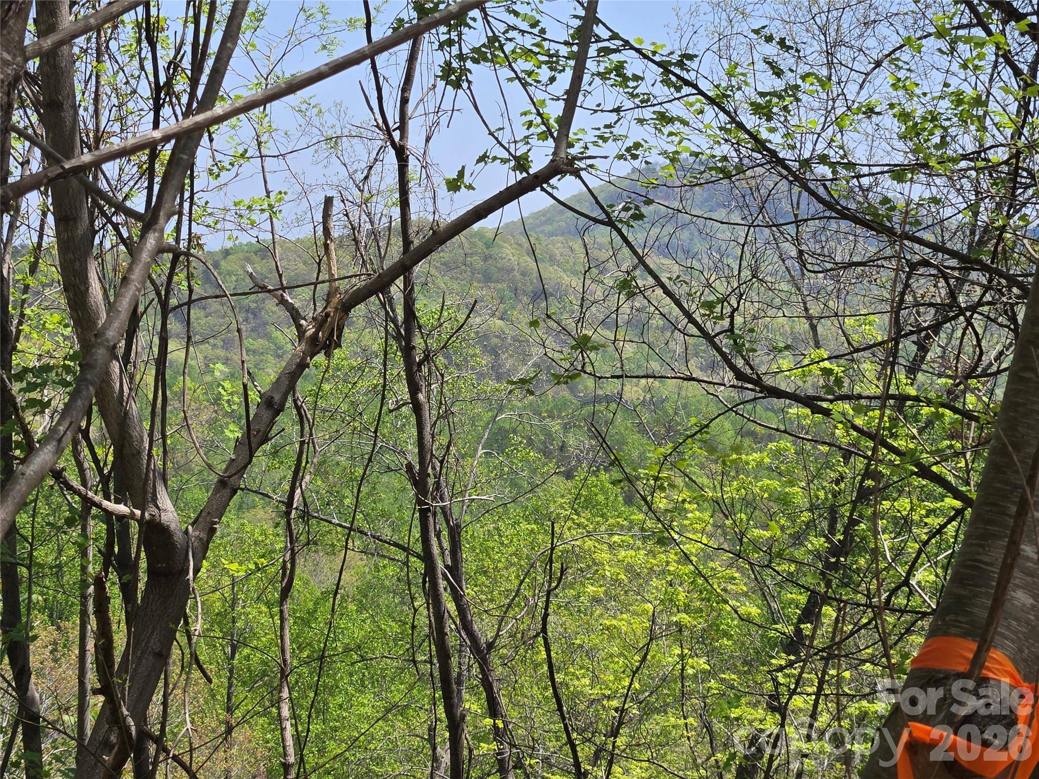 Lot 24 High Rock RDG, Lake Lure, NC 28746