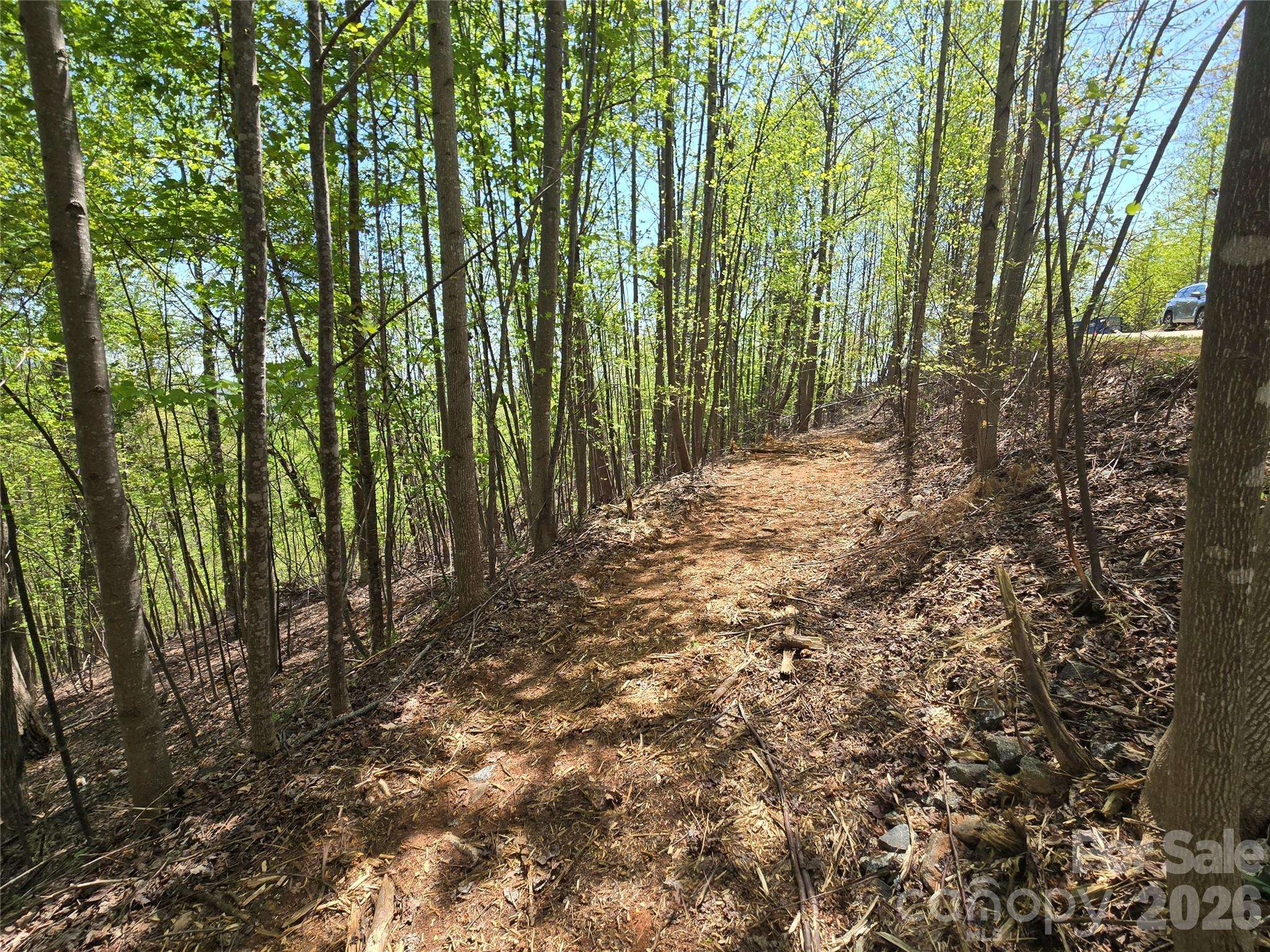Lot 24 High Rock RDG, Lake Lure, NC 28746