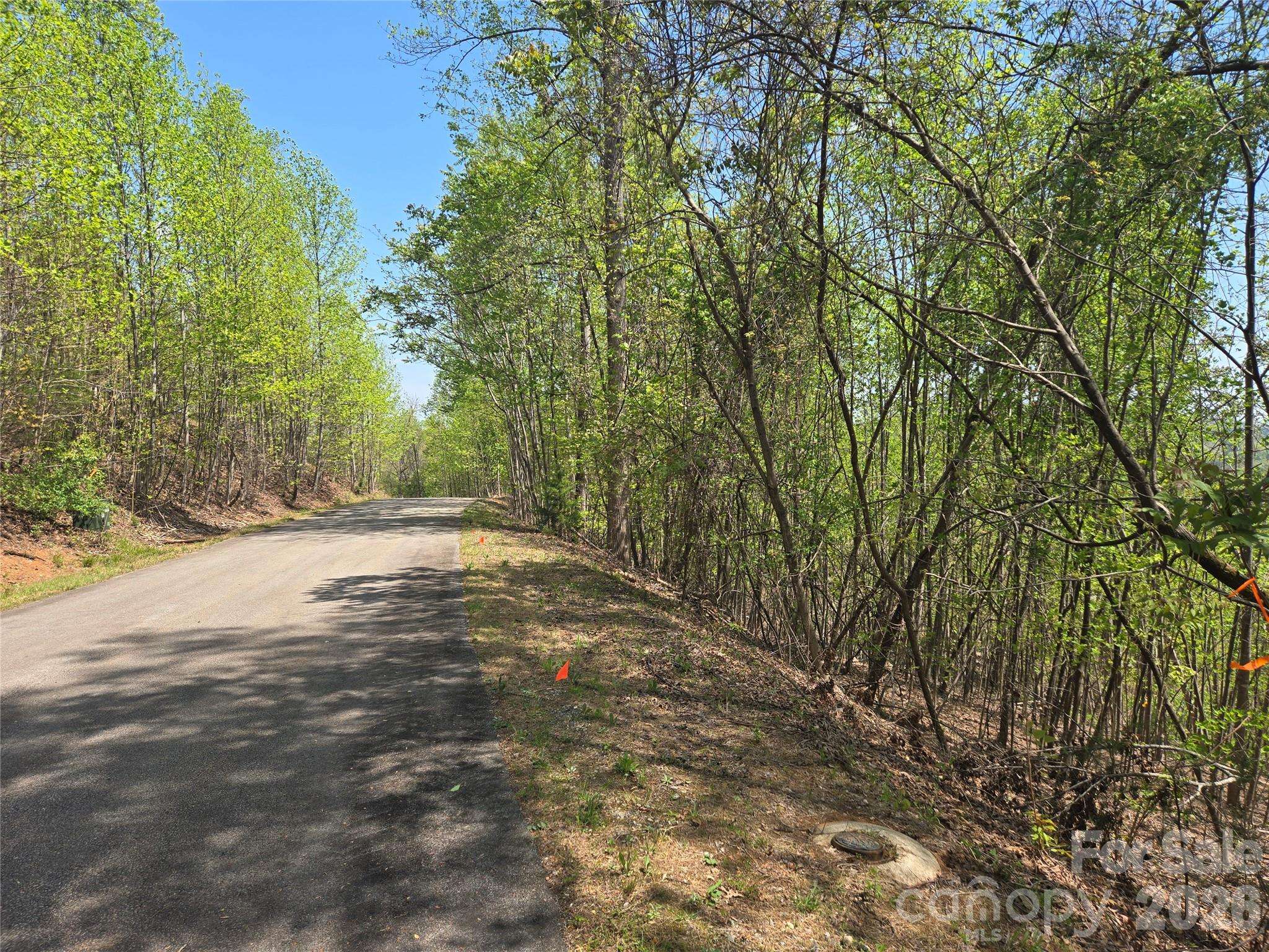 Lot 25 High Rock RDG, Lake Lure, NC 28746