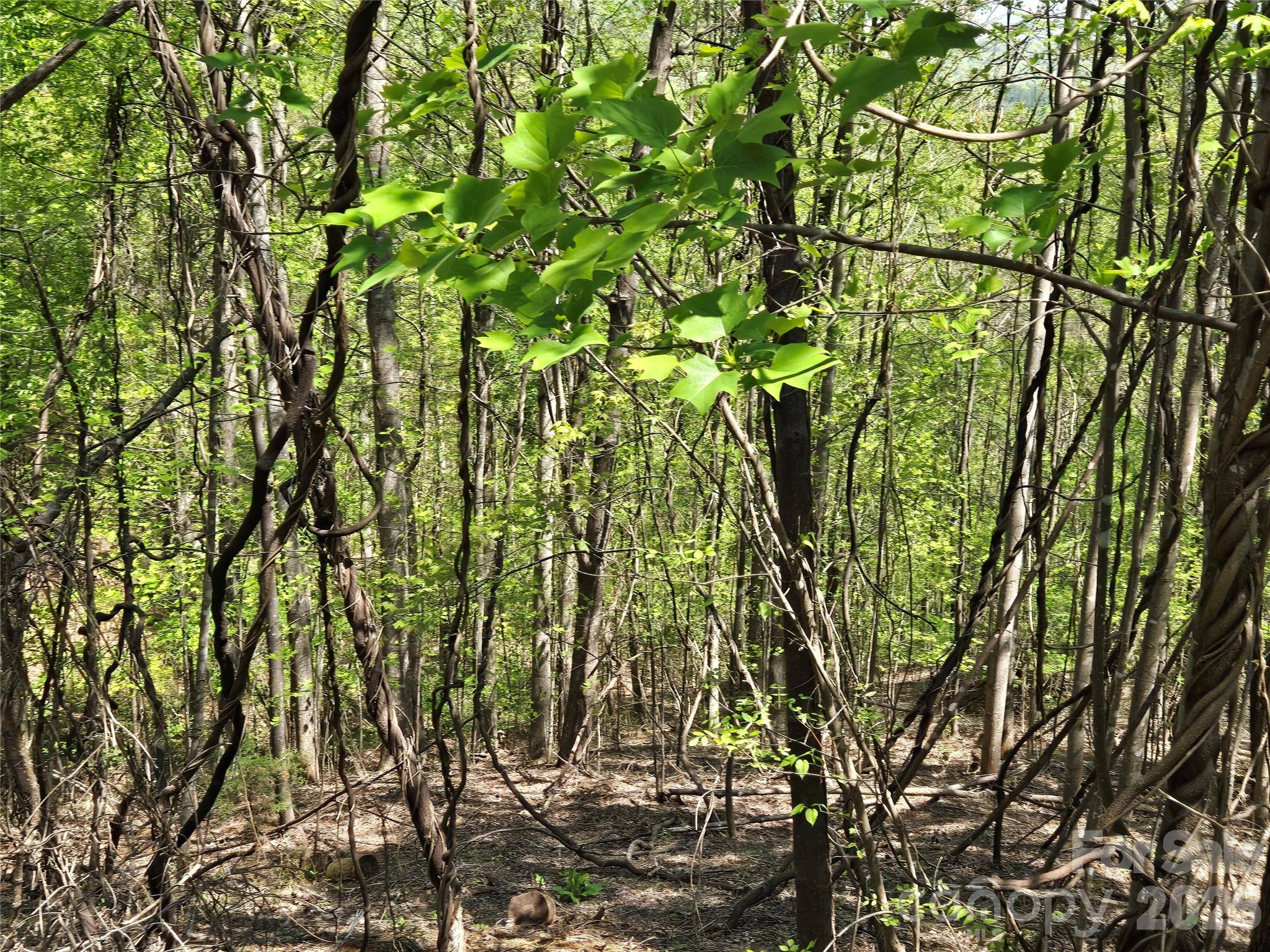 Lot 33 Turkey Fall LN, Lake Lure, NC 28746