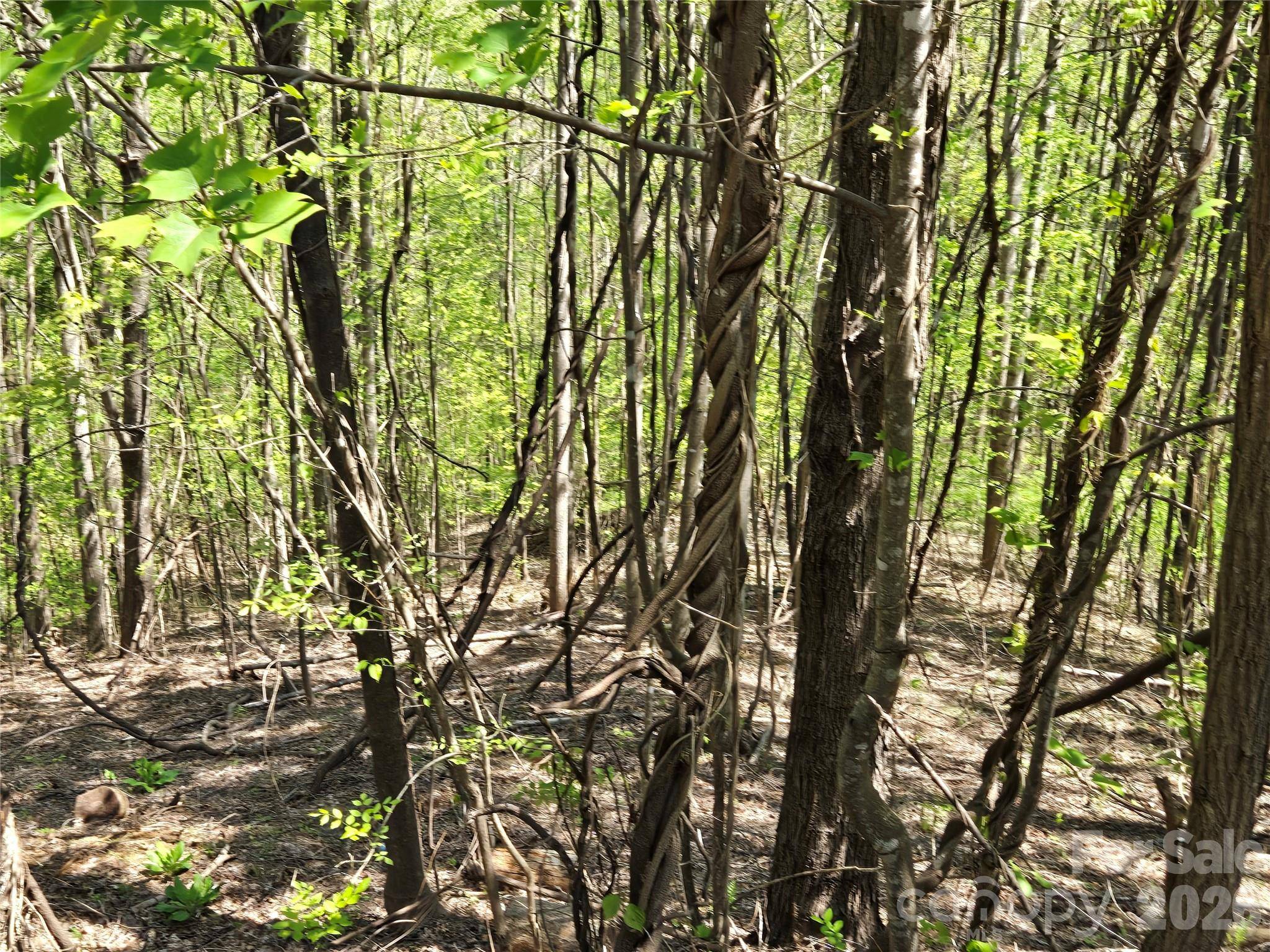 Lot 33 Turkey Fall LN, Lake Lure, NC 28746