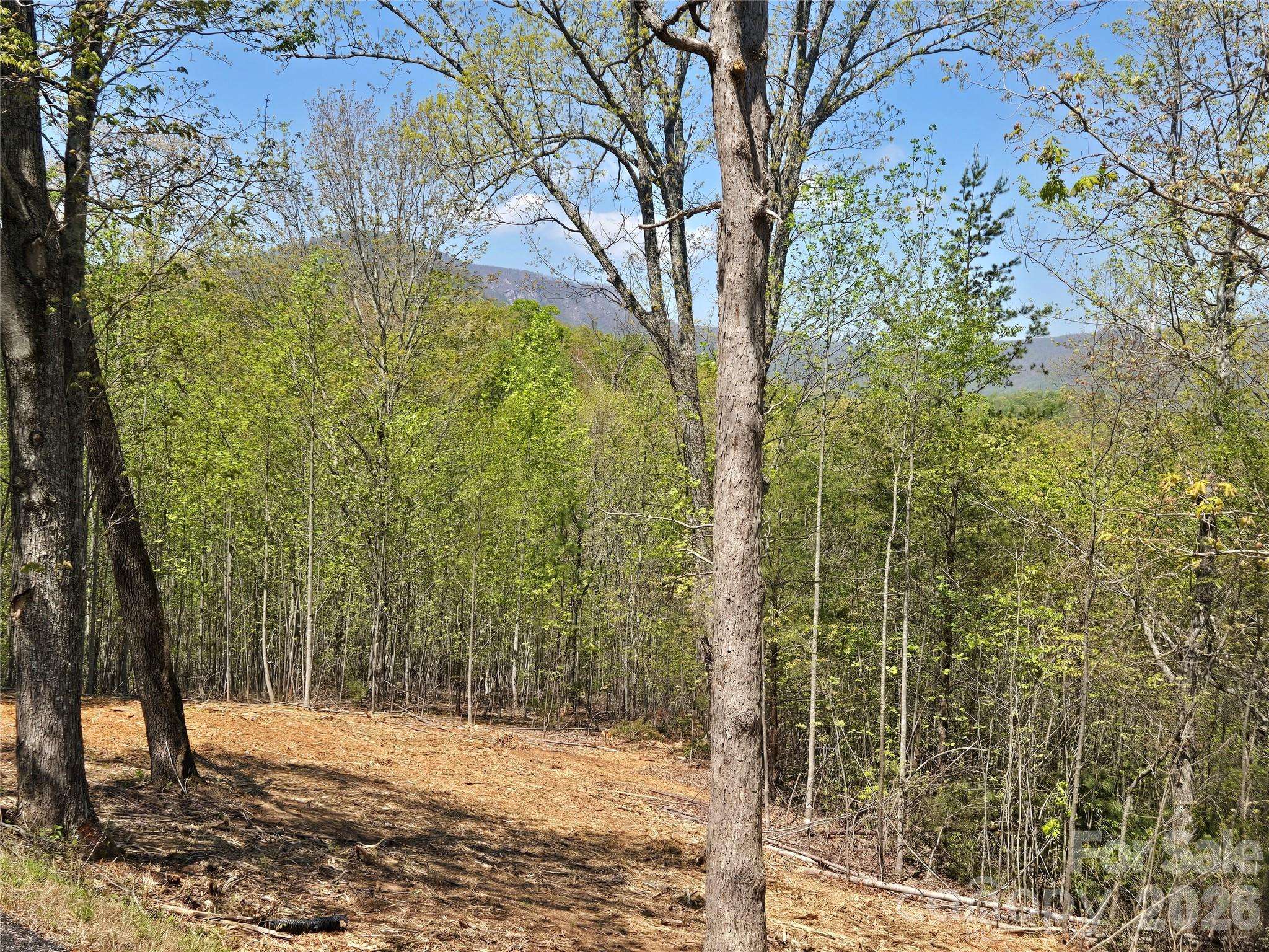 Lot 34 High Rock RDG, Lake Lure, NC 28746