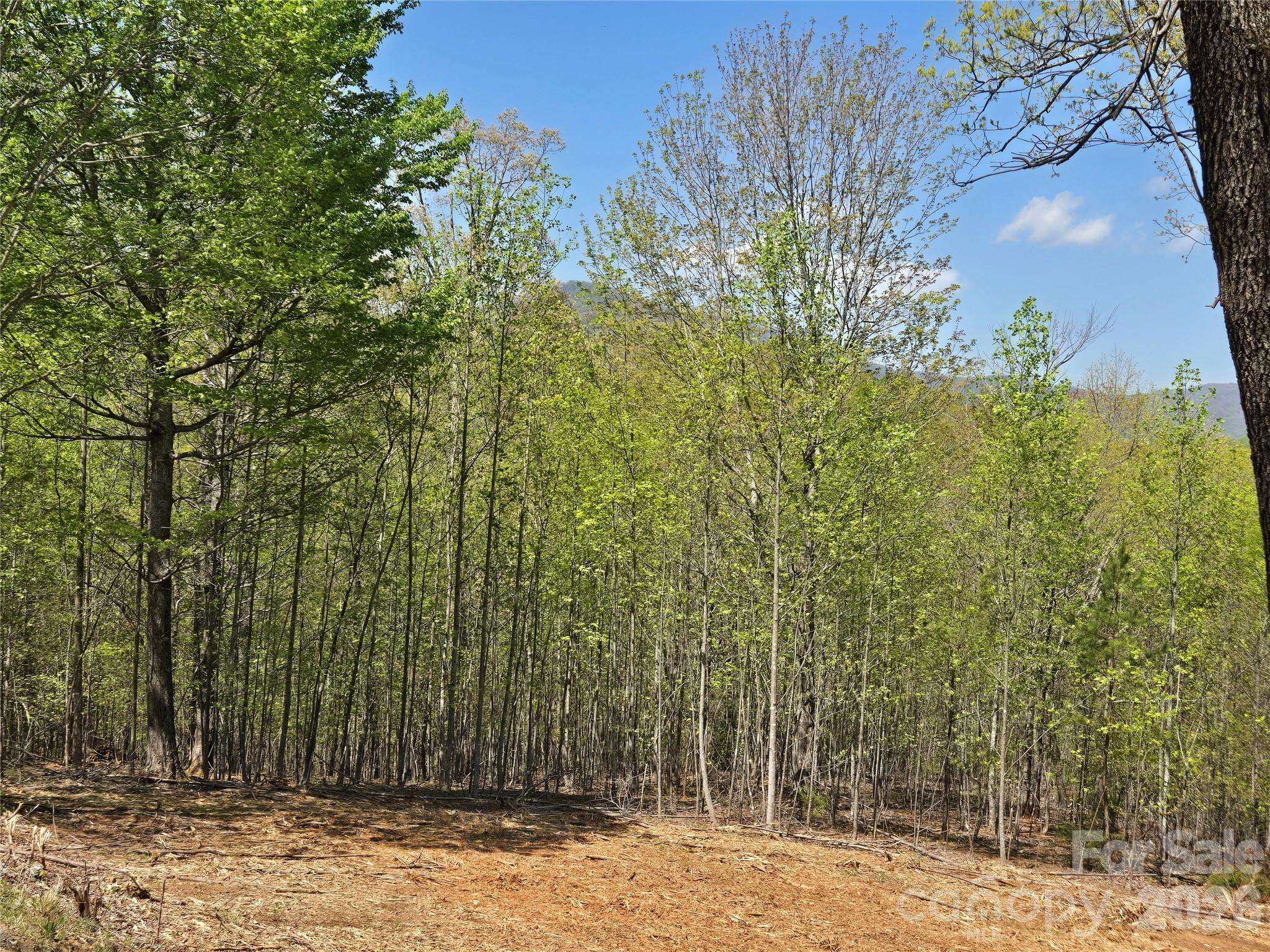 Lot 34 High Rock RDG, Lake Lure, NC 28746