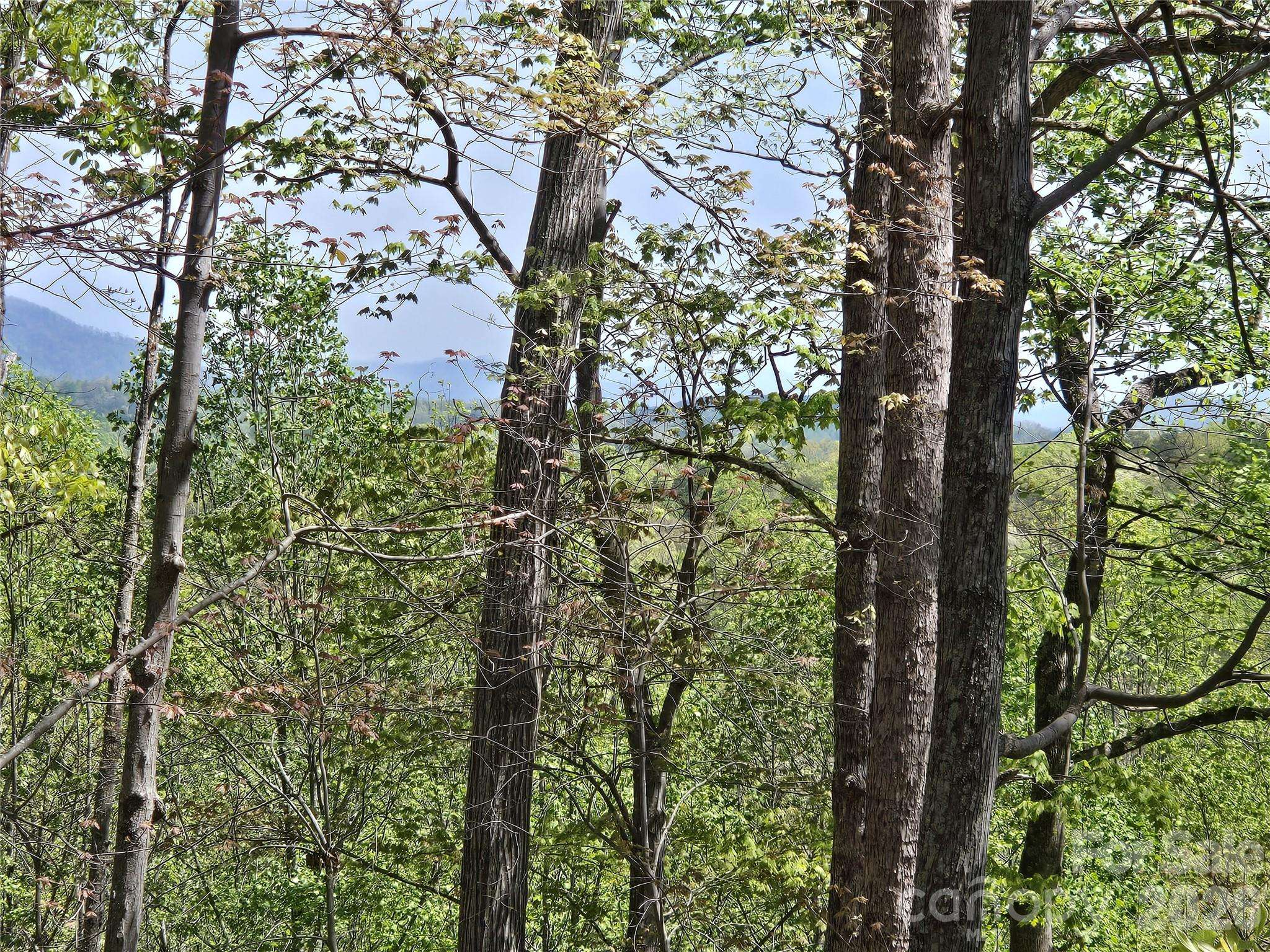 Lot 36 Turkey Fall LN, Lake Lure, NC 28746