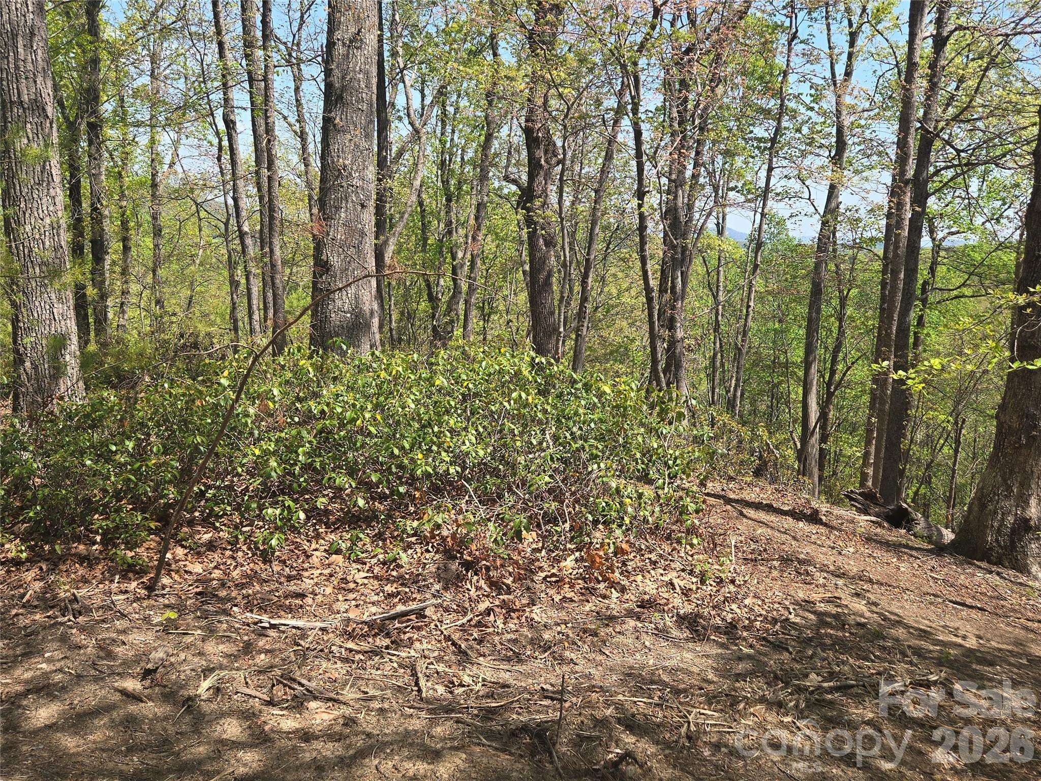 Lot 36 Turkey Fall LN, Lake Lure, NC 28746
