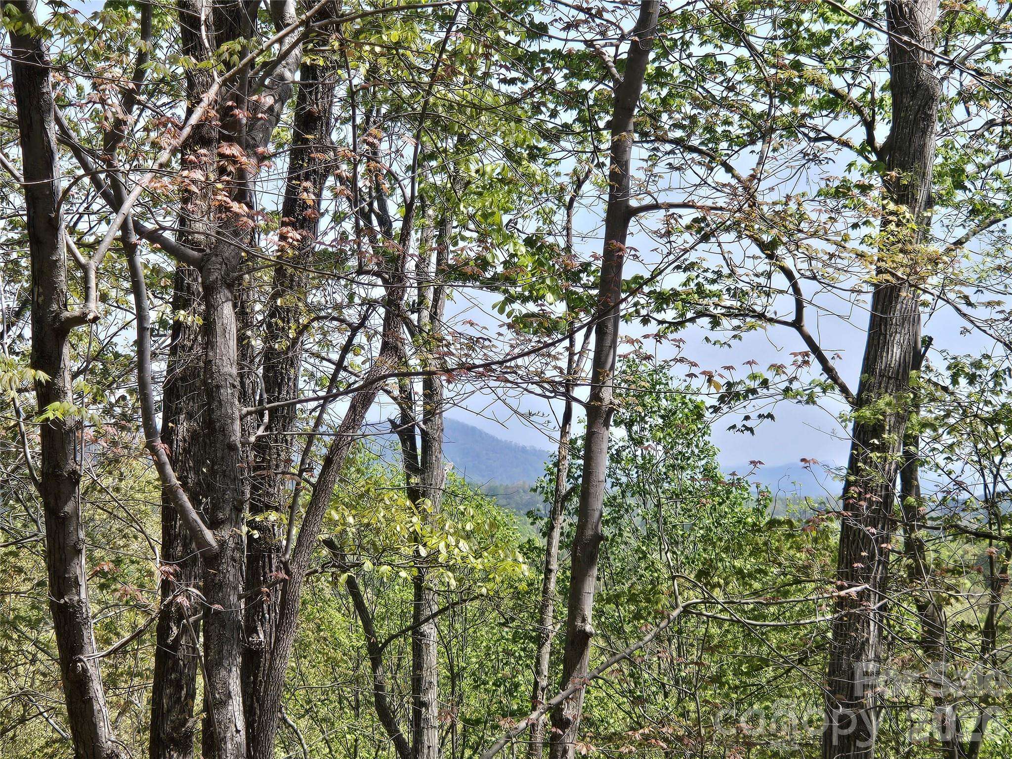 Lot 36 Turkey Fall LN, Lake Lure, NC 28746