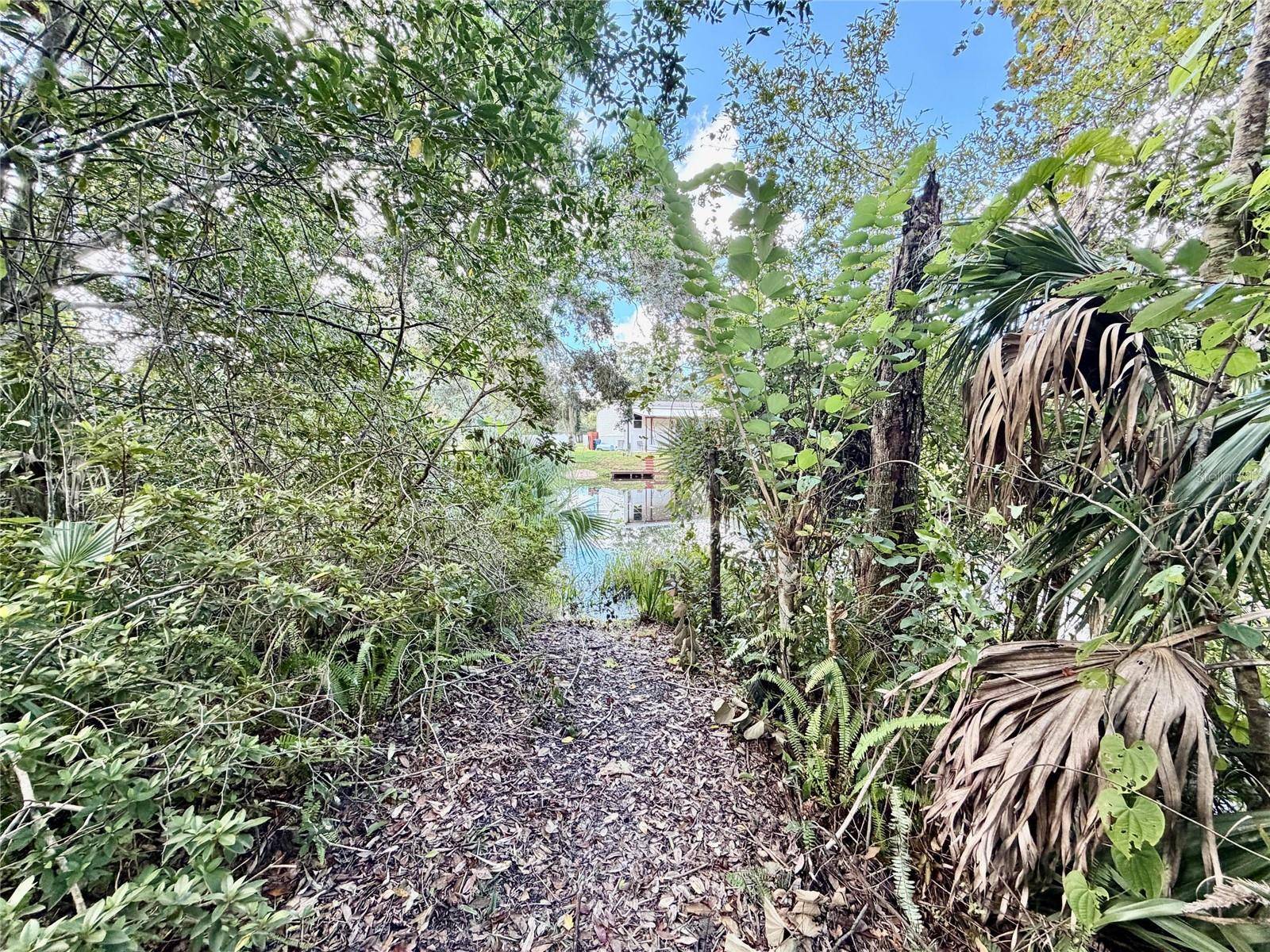 6464 ARBUTUS AVE, Weeki Wachee, FL 34607