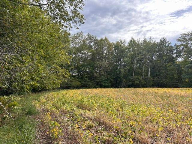 TBD Melody ST, Braham, MN 55006