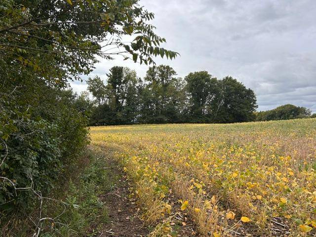 TBD Melody ST, Braham, MN 55006