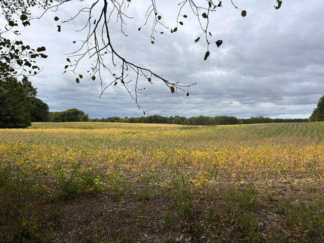 TBD Melody ST, Braham, MN 55006
