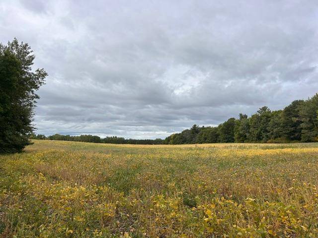 TBD Melody ST, Braham, MN 55006