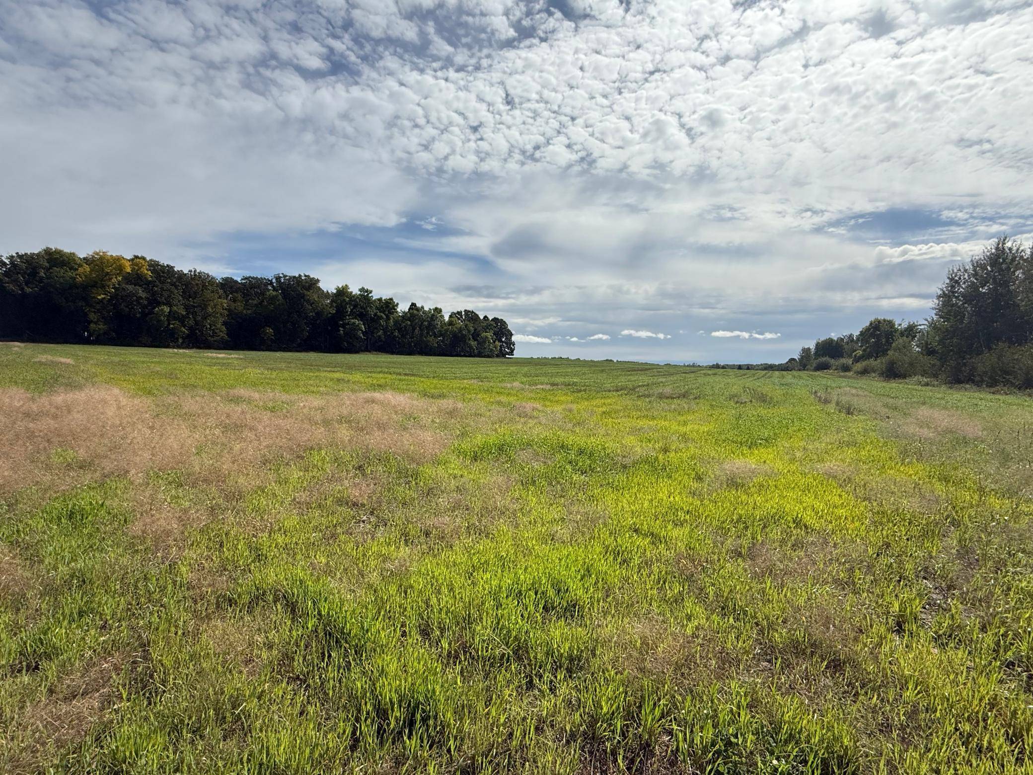 15095 400th ST, Eagle Bend, MN 56446