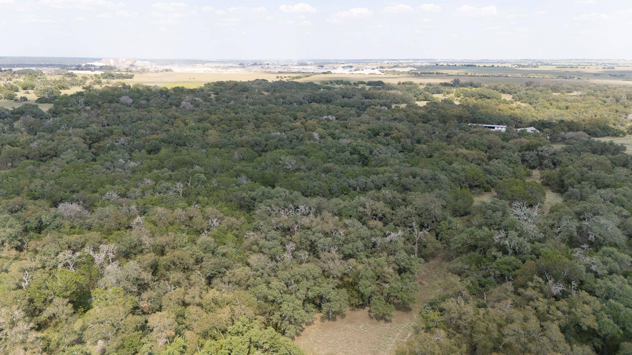 000 CR 239 RD, Jarrell, TX 76537