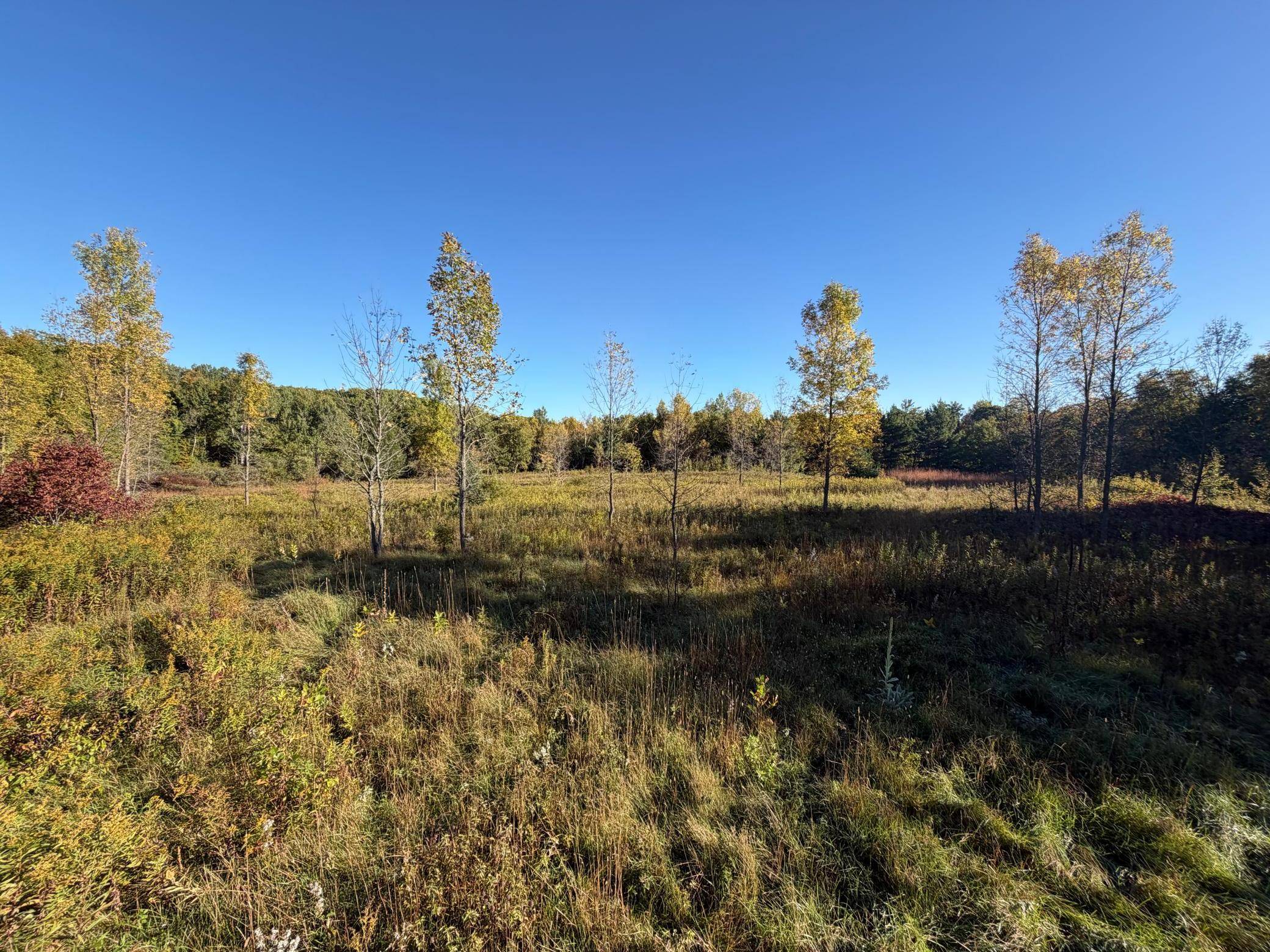 TBD Riverview Place, Merrifield, MN 56465