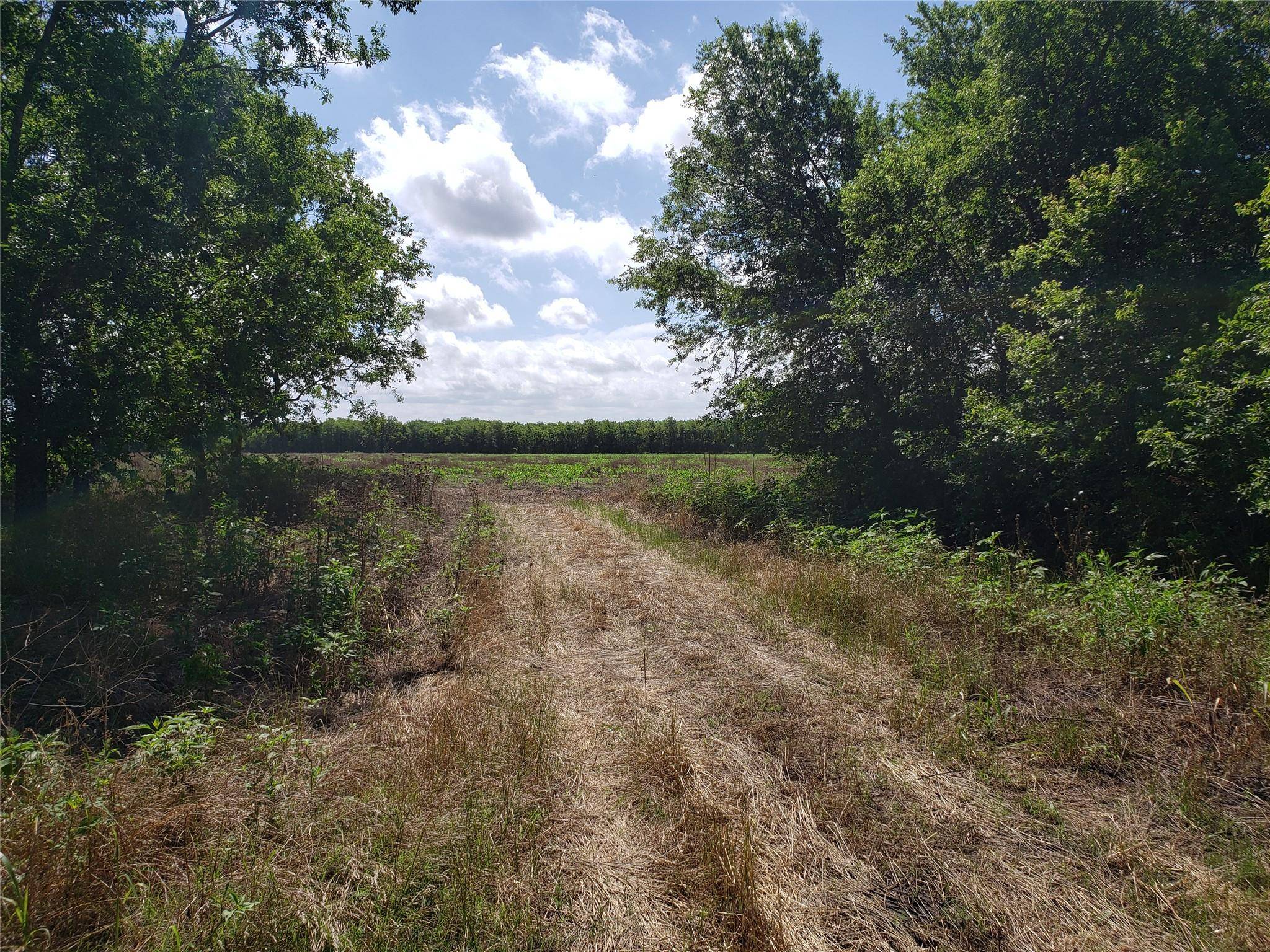 6015 Fm-1327, Buda, TX 78610