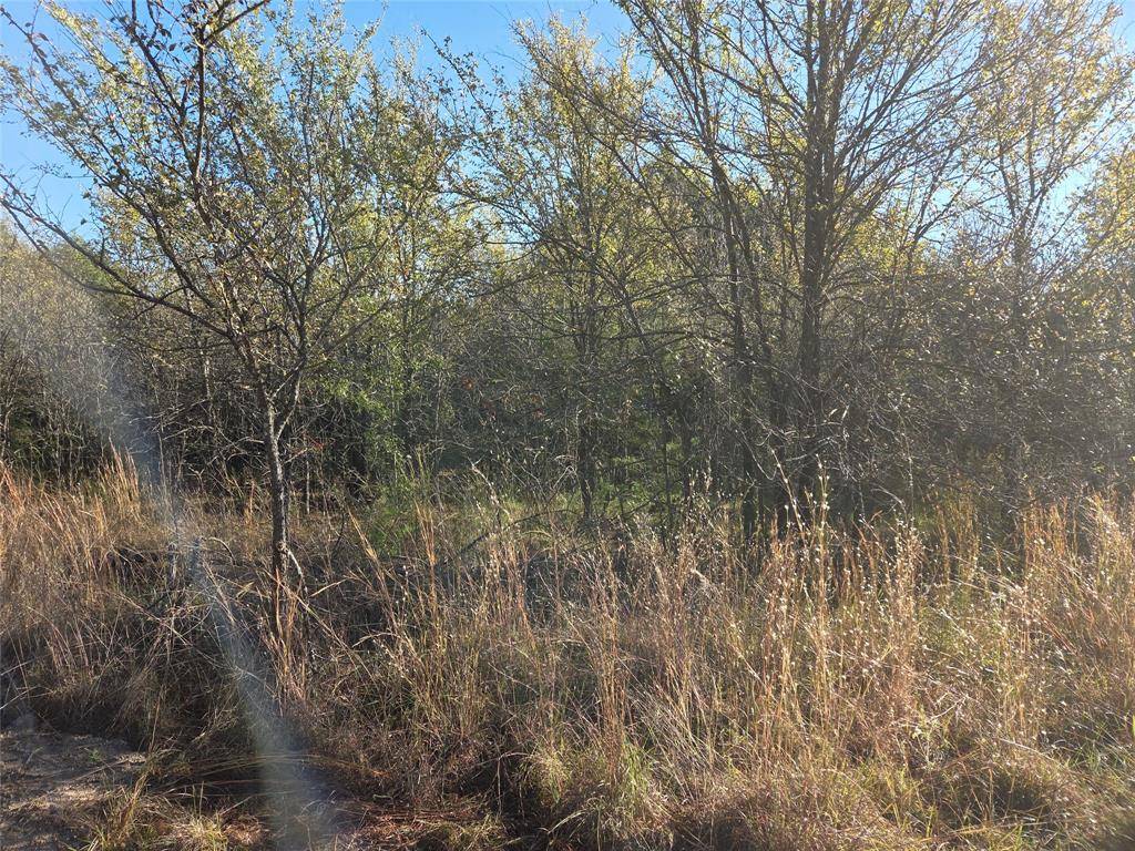Lot 20 Sunrise W, Corsicana, TX 75109