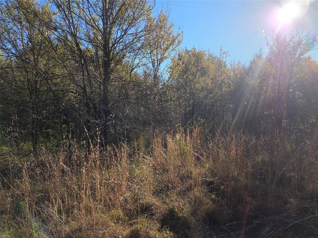 Lot 20 Sunrise W, Corsicana, TX 75109