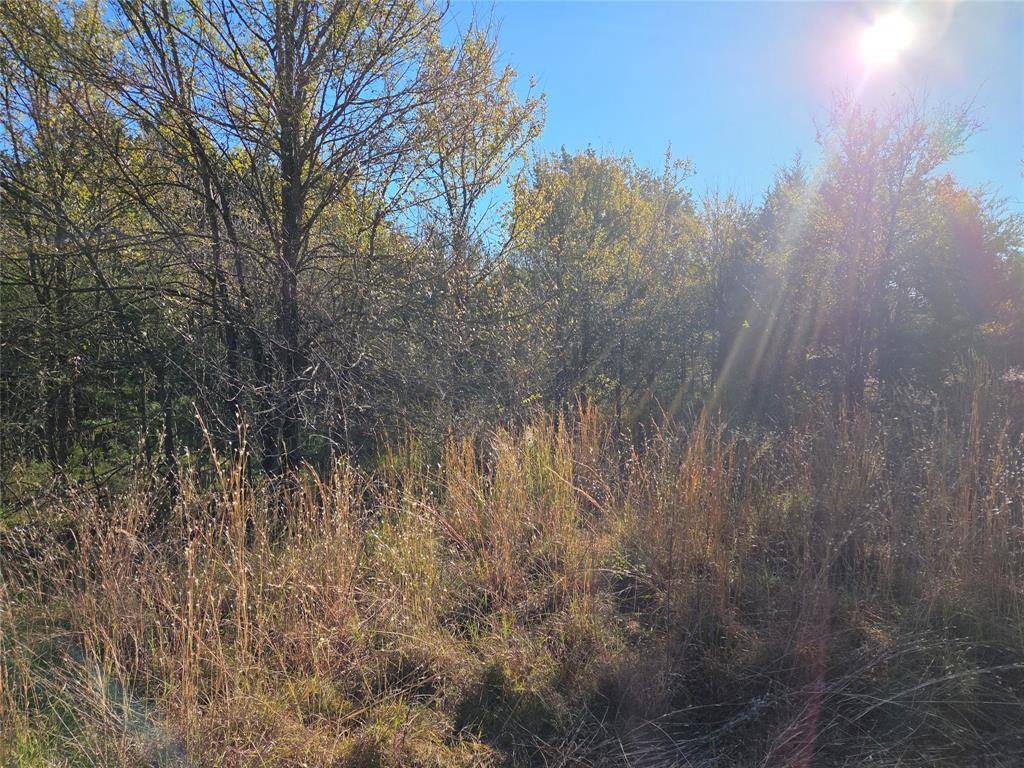 Lot 20 Sunrise W, Corsicana, TX 75109