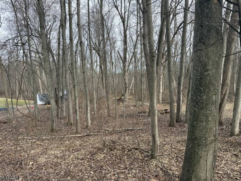 36 Countryside Rd, Knowlton Twp., NJ 07832