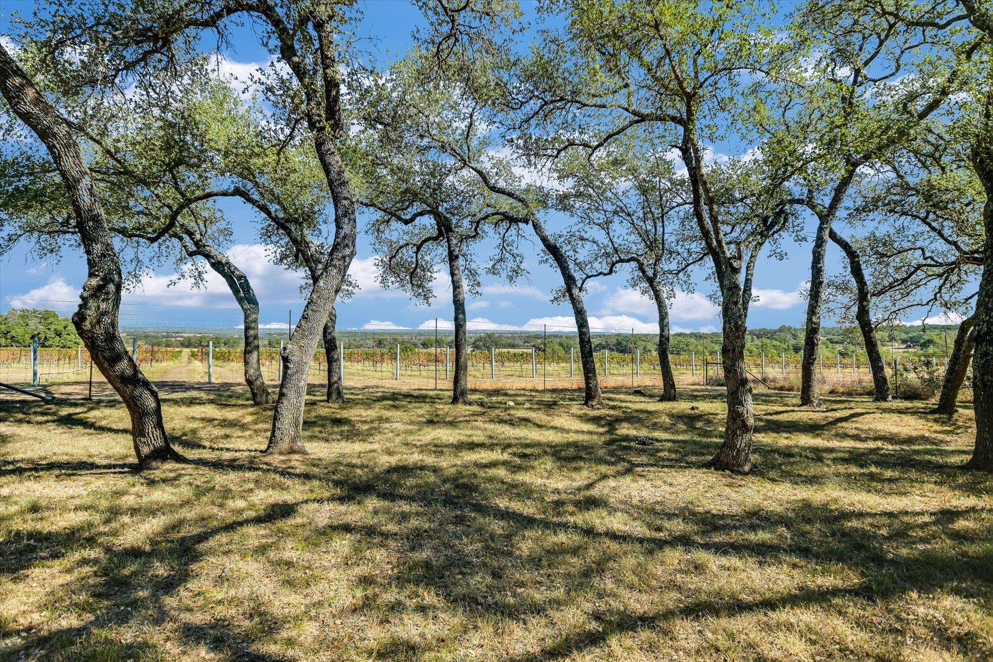 878 Ranch Road 2766, Johnson City, TX 78636