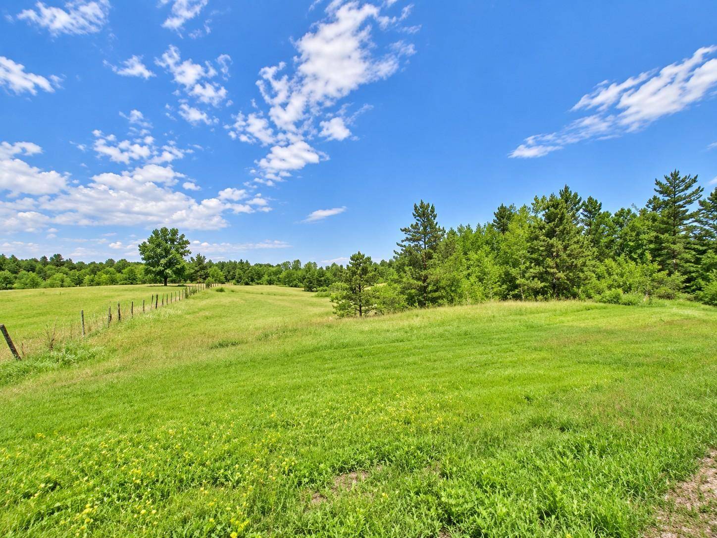 Lot B County Road 134, Pine River, MN 56474