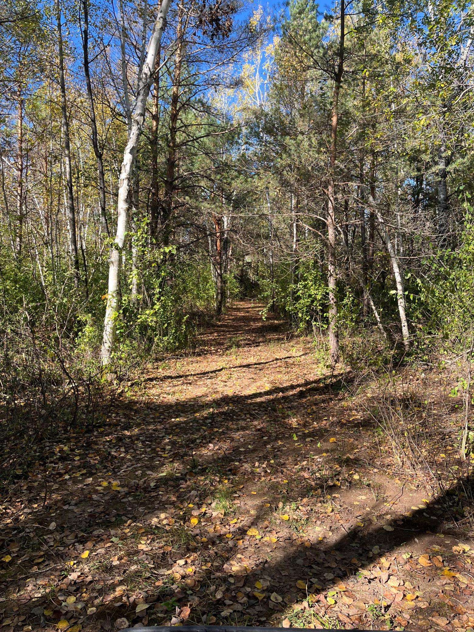 3449 Mosevej/Marsh, Askov, MN 55704