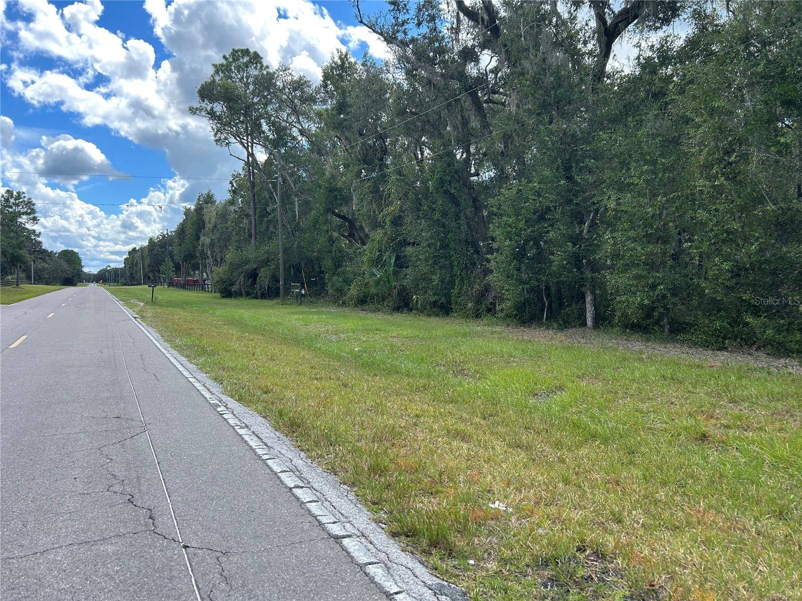 TBD CR 337, Morriston, FL 32668