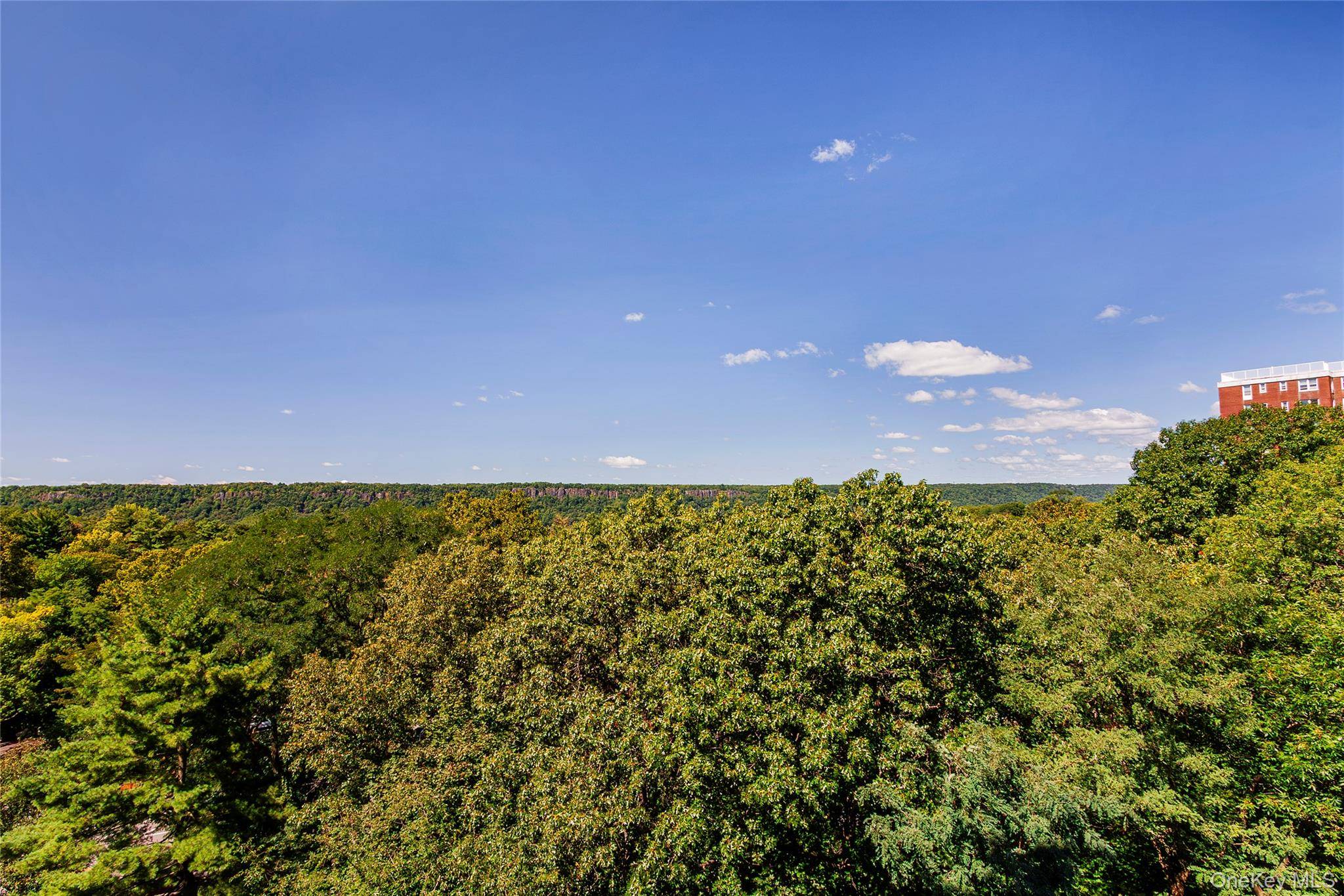 3935 Blackstone AVE #8B, Bronx, NY 10471