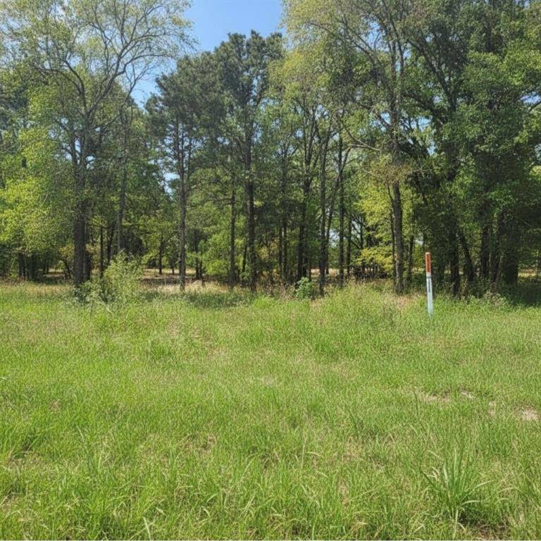 TBD US HWY 175, Mabank, TX 75147