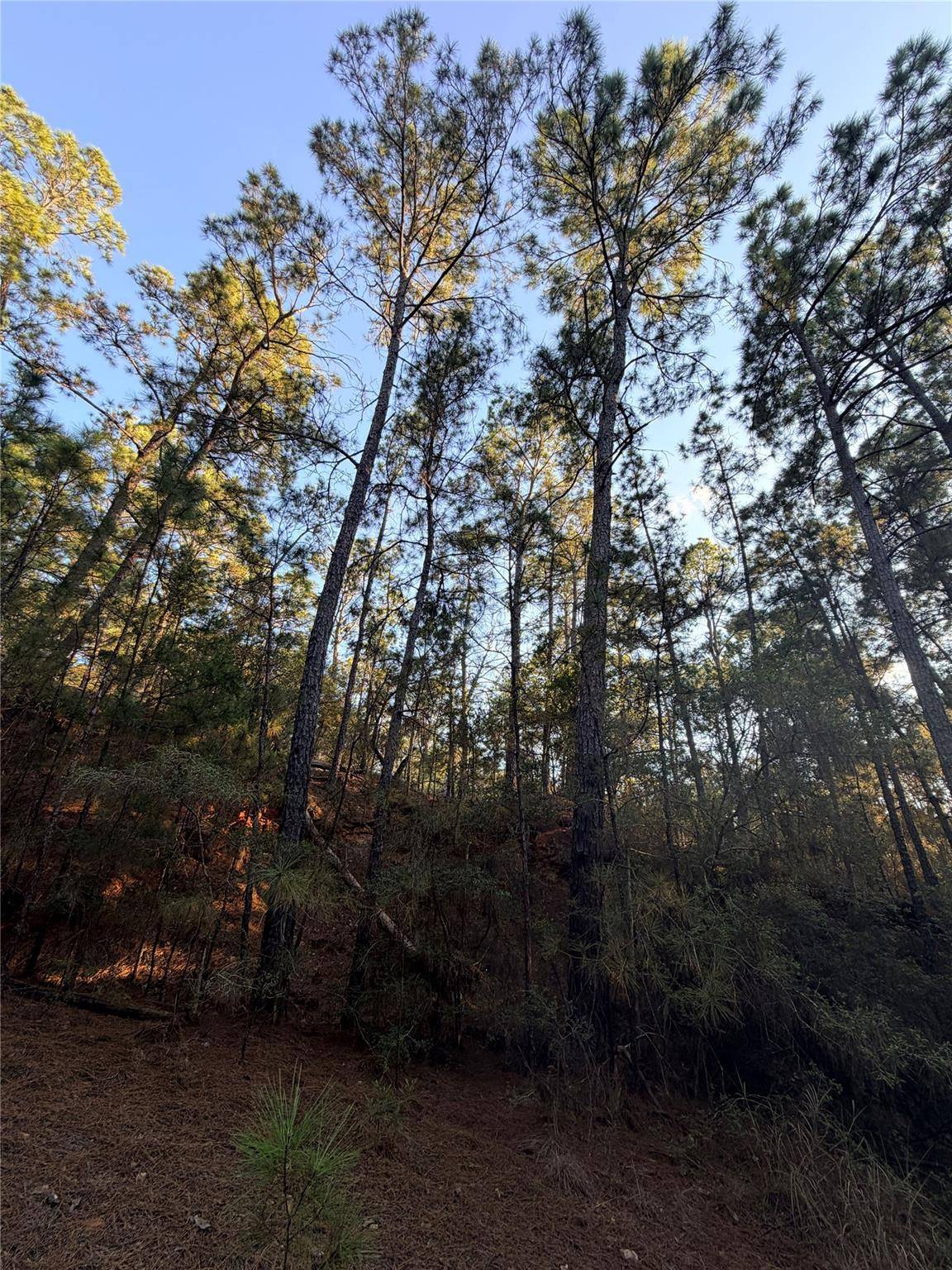 TBD Okoe CT, Bastrop, TX 78602