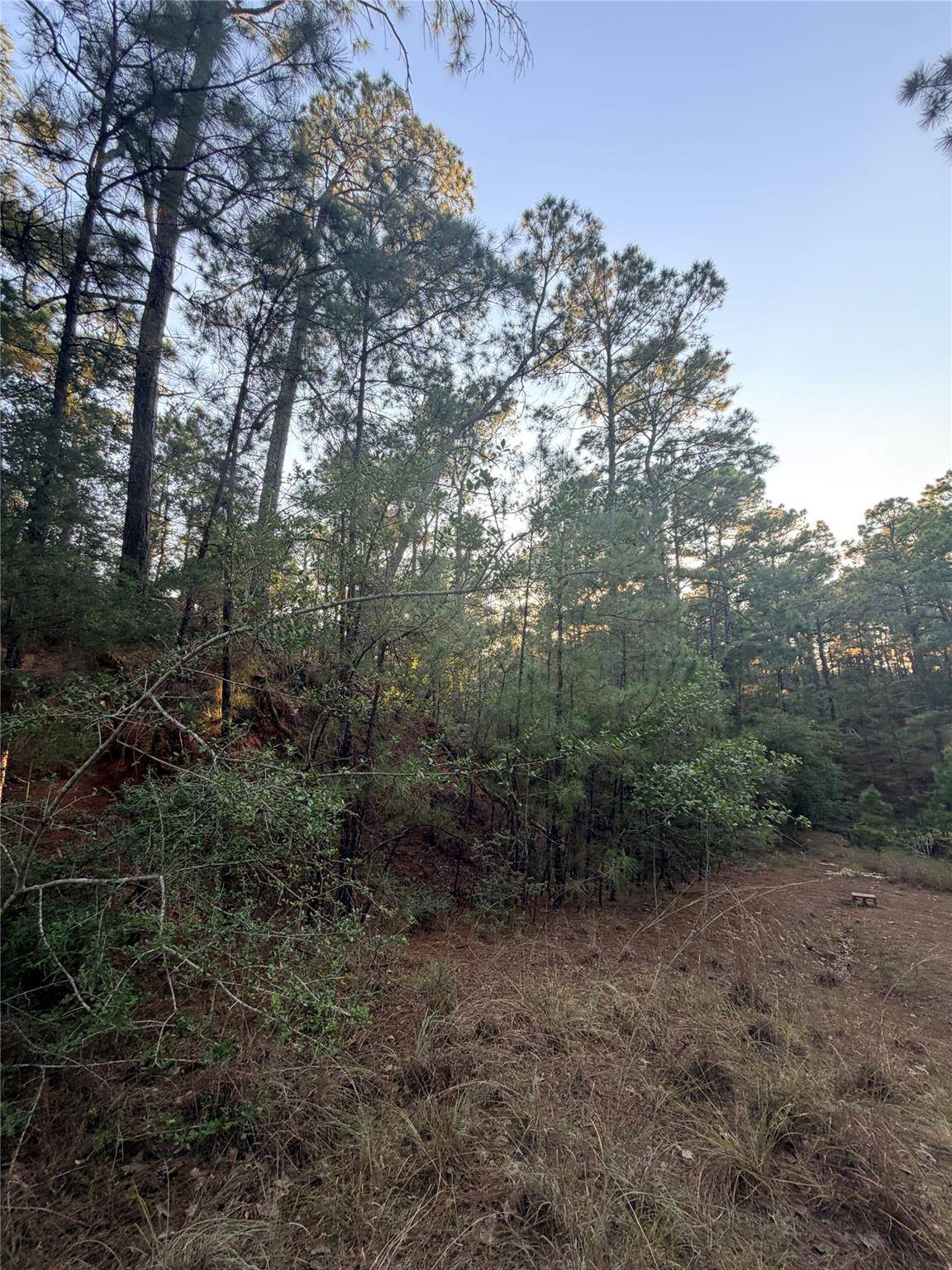TBD Okoe CT, Bastrop, TX 78602
