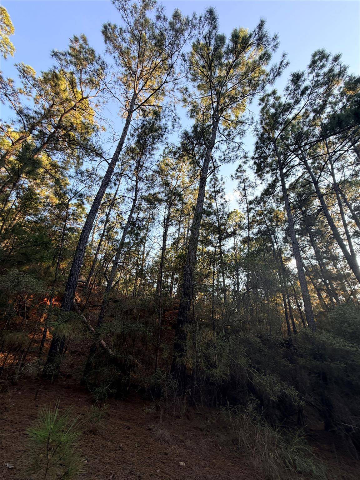 TBD Okoe CT, Bastrop, TX 78602
