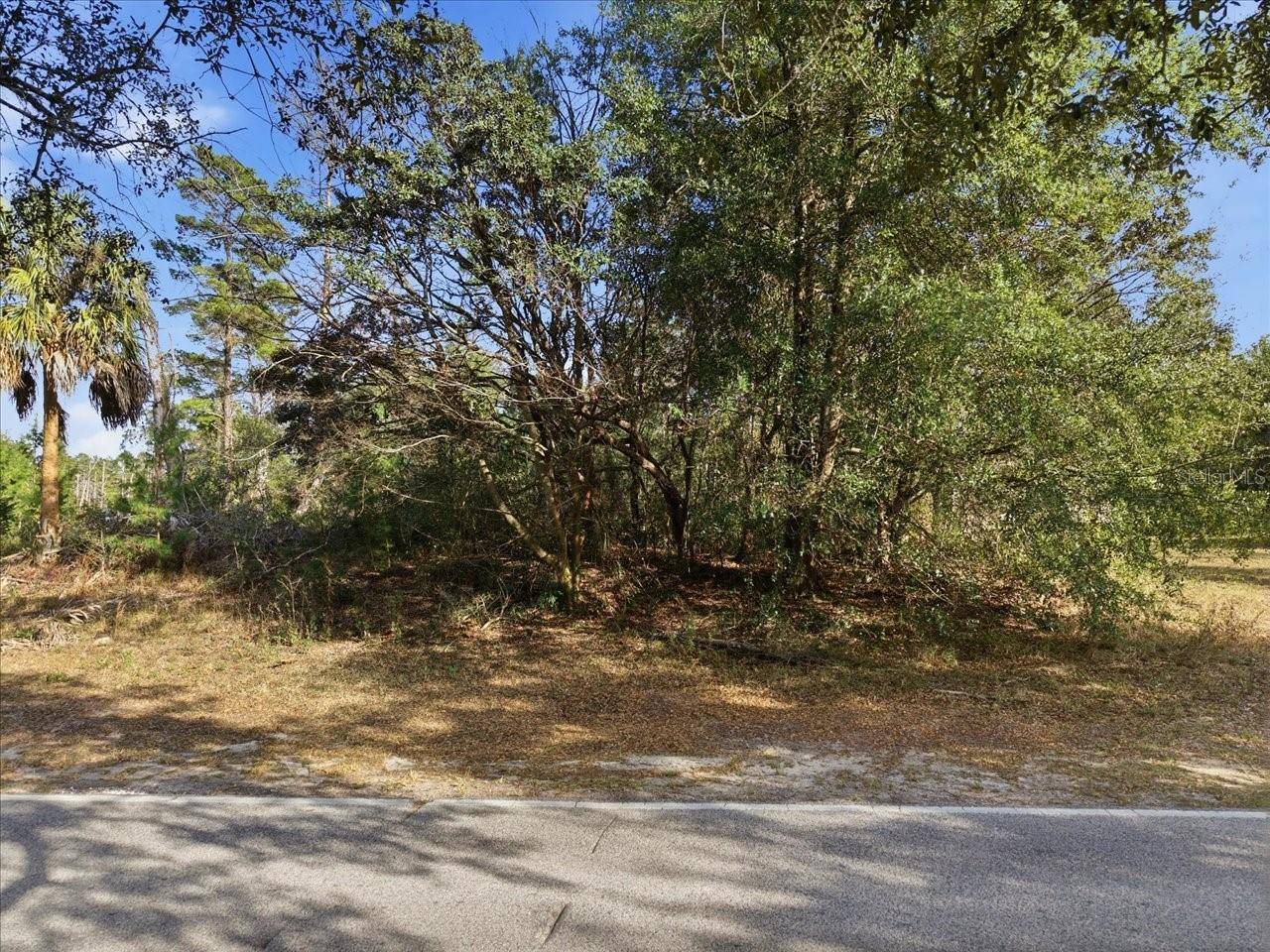 118 OAK VILLAGE BLVD, Homosassa, FL 34446
