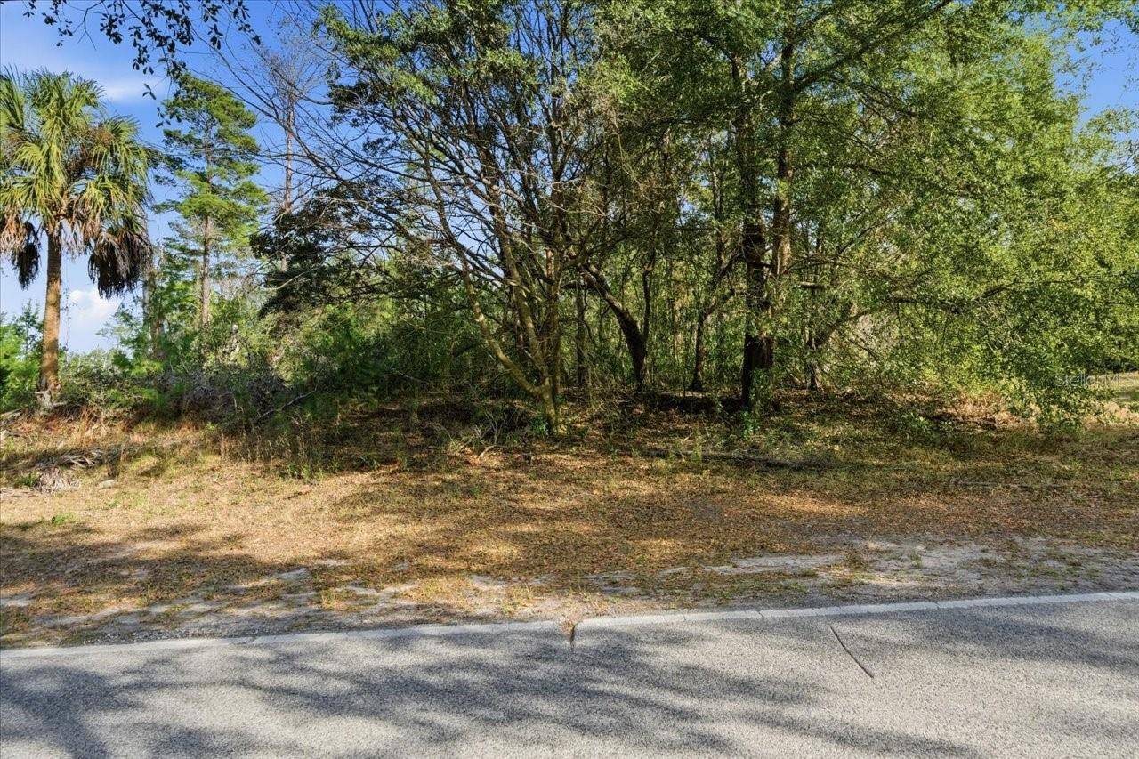 118 OAK VILLAGE BLVD, Homosassa, FL 34446