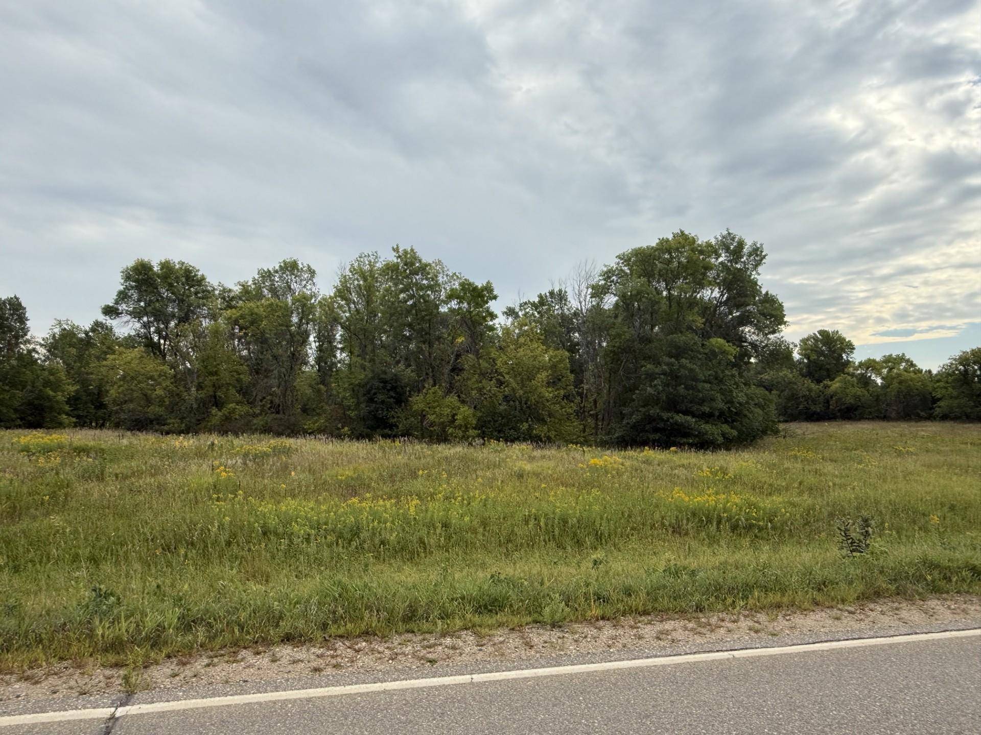 TBD Co Rd 78 SE, Alexandria, MN 56360