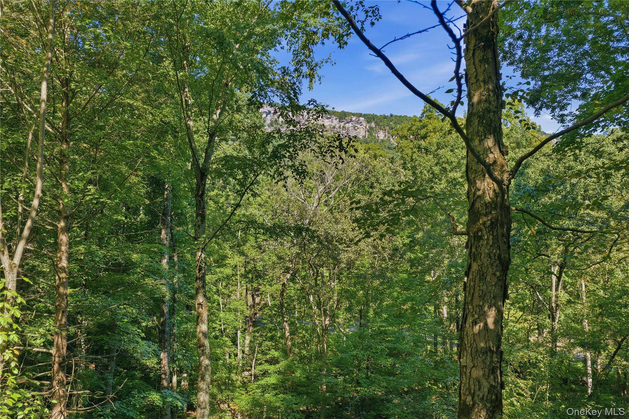 2 Durmo RD, New Paltz, NY 12561