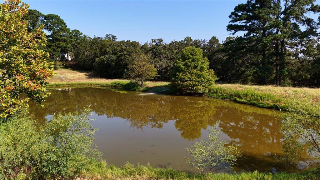 218 Little Ranch RD, Red Rock, TX 78662
