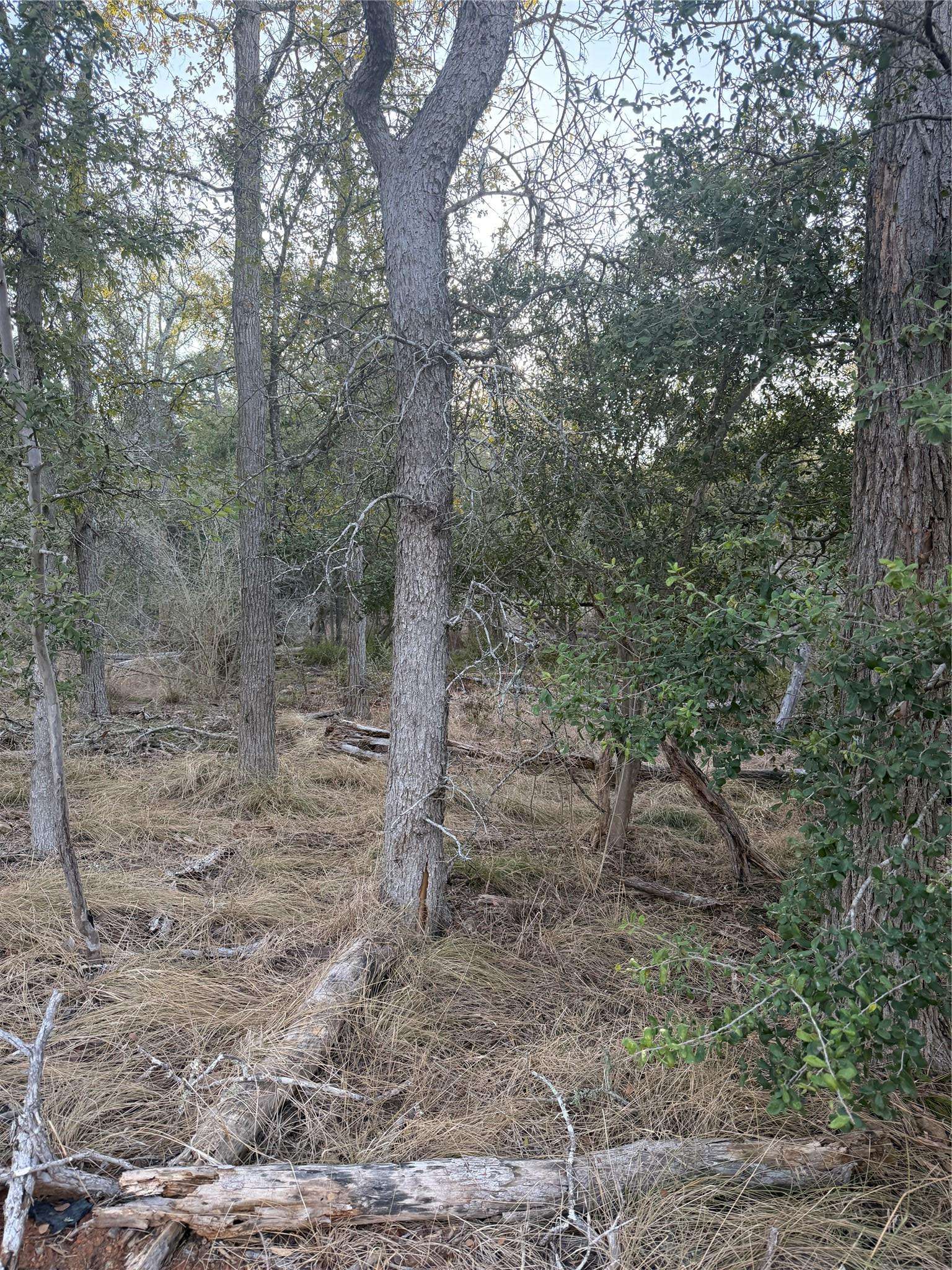 159 Helemano DR, Bastrop, TX 78602