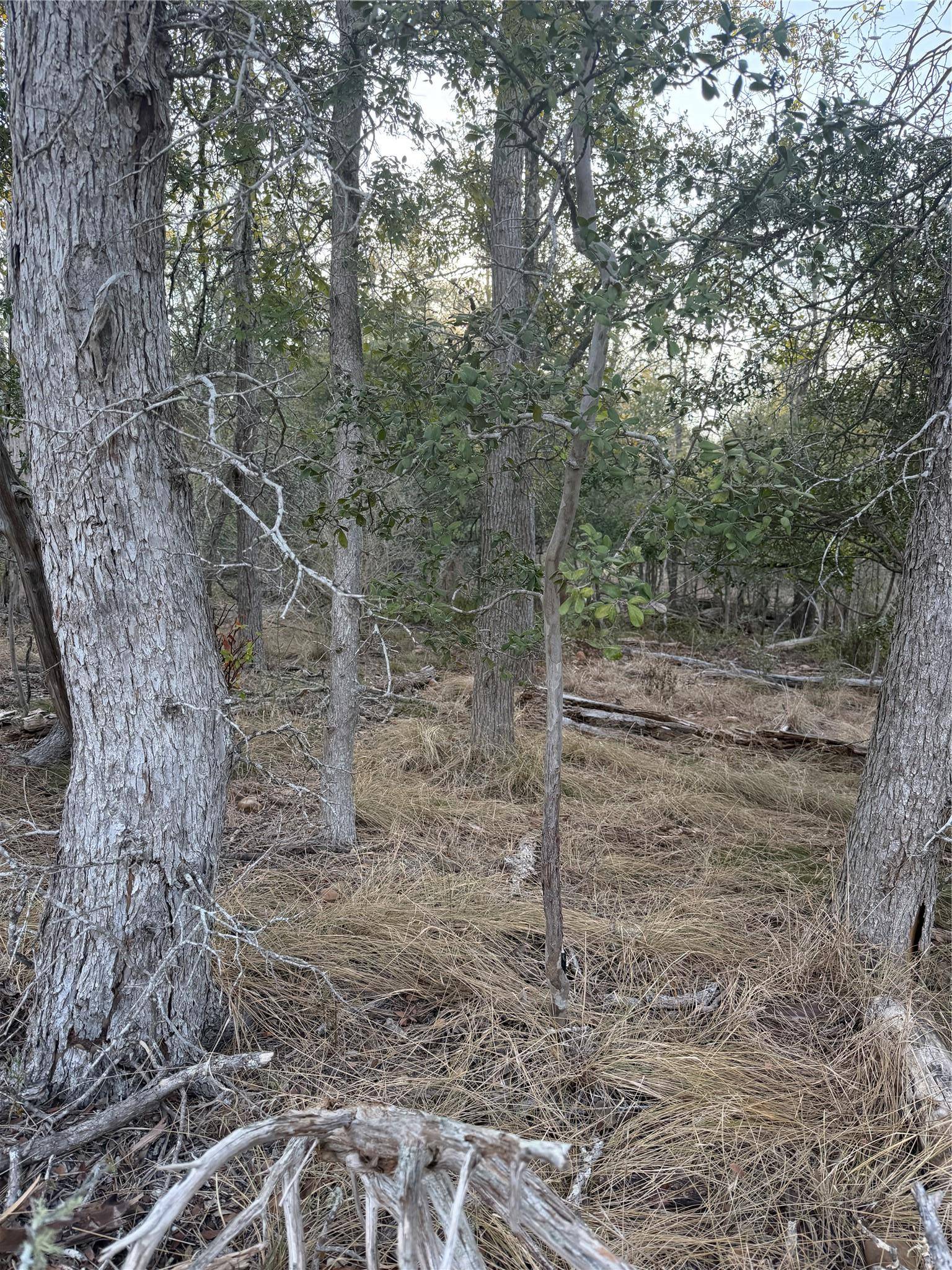 159 Helemano DR, Bastrop, TX 78602