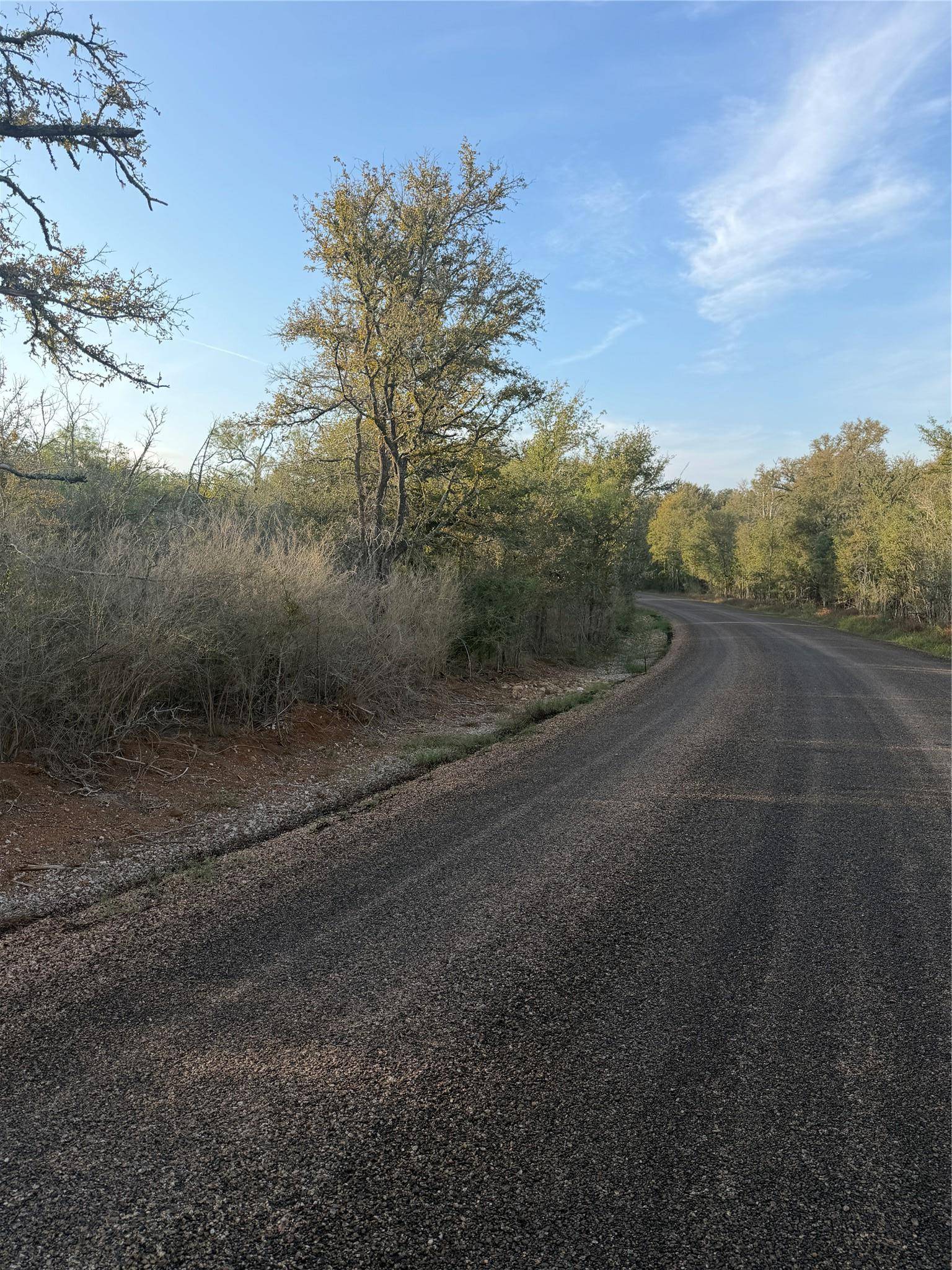 159 Helemano DR, Bastrop, TX 78602