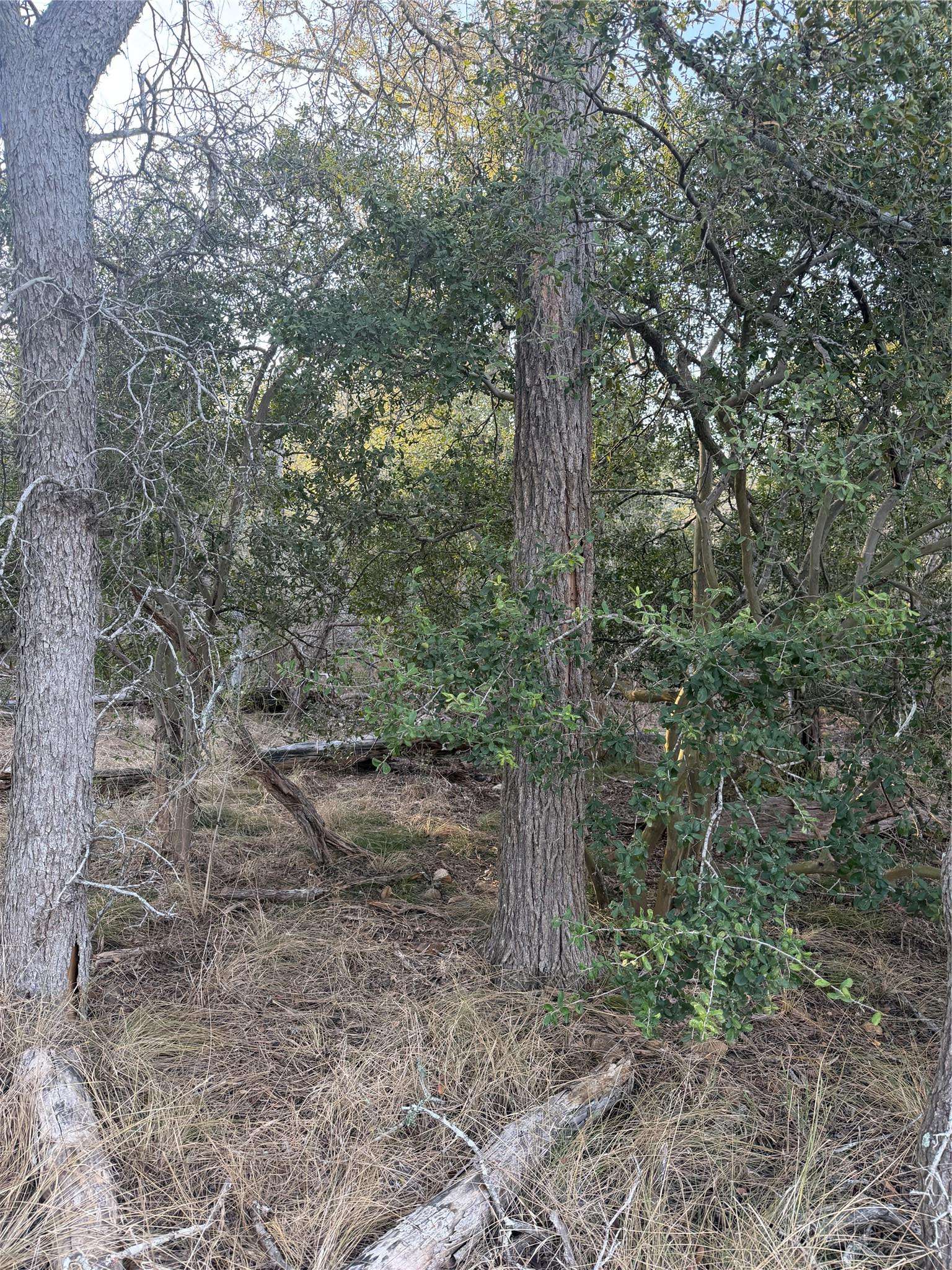 159 Helemano DR, Bastrop, TX 78602