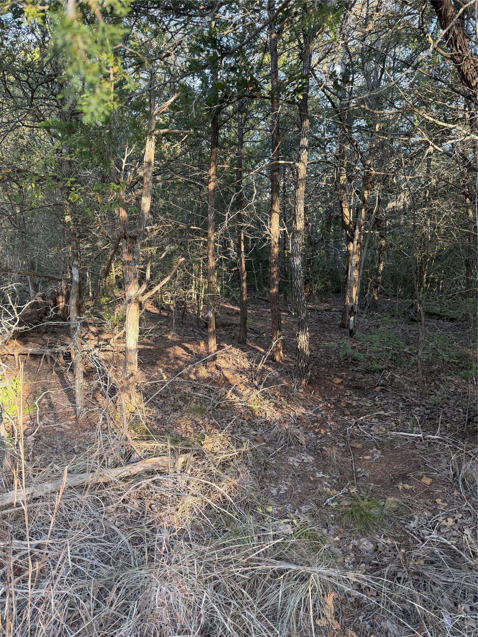 148 Helemano DR, Bastrop, TX 78602