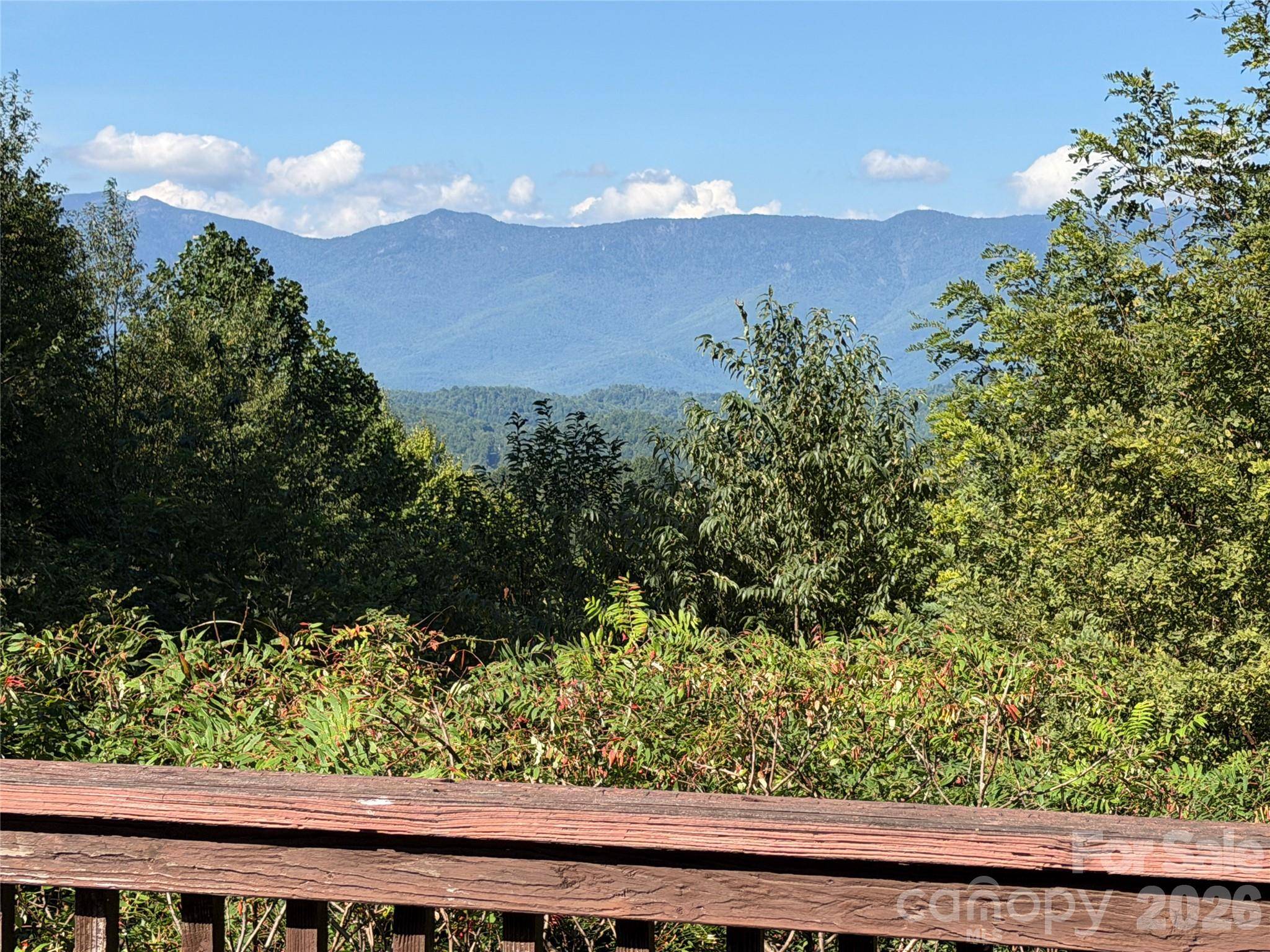 697 Grassy Mountain RD, Little Switzerland, NC 28749