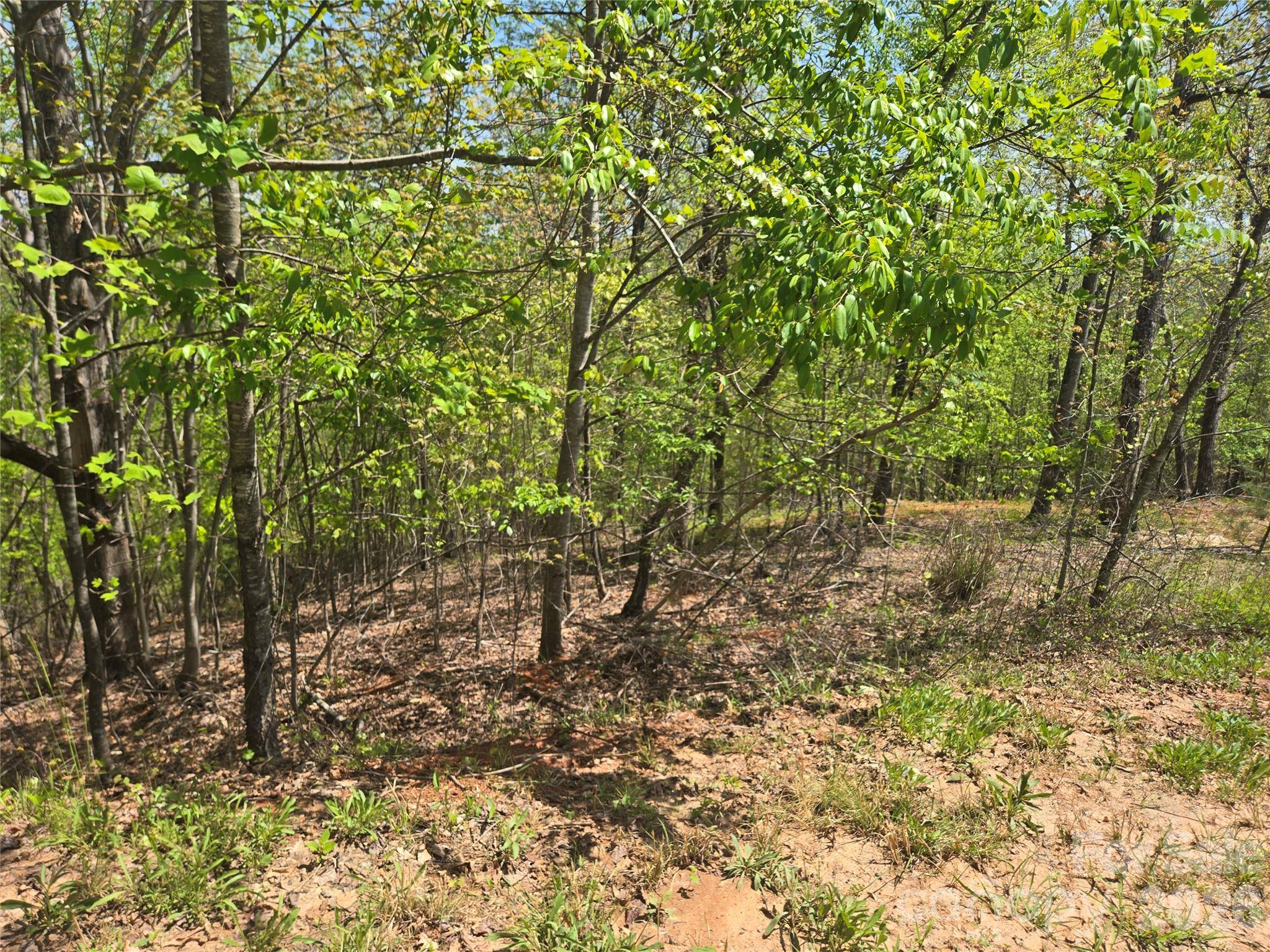 Lot 23 High Rock RDG, Lake Lure, NC 28746