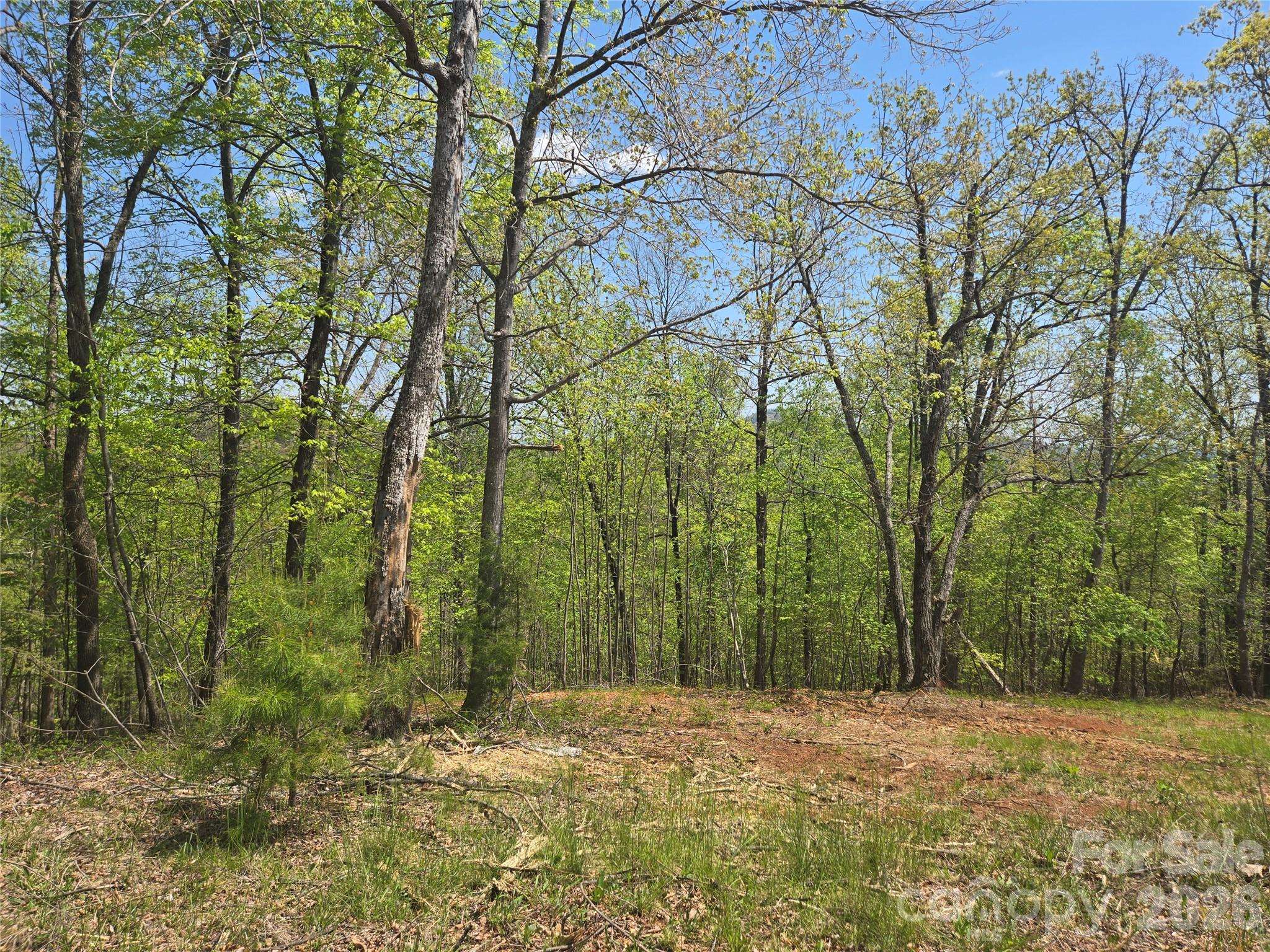 Lot 23 High Rock RDG, Lake Lure, NC 28746