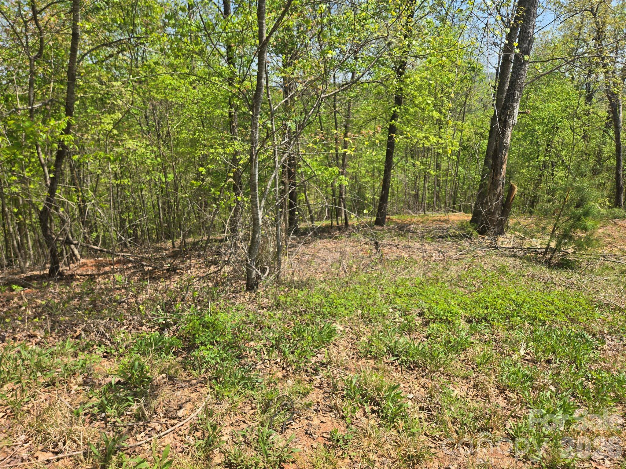 Lot 23 High Rock RDG, Lake Lure, NC 28746