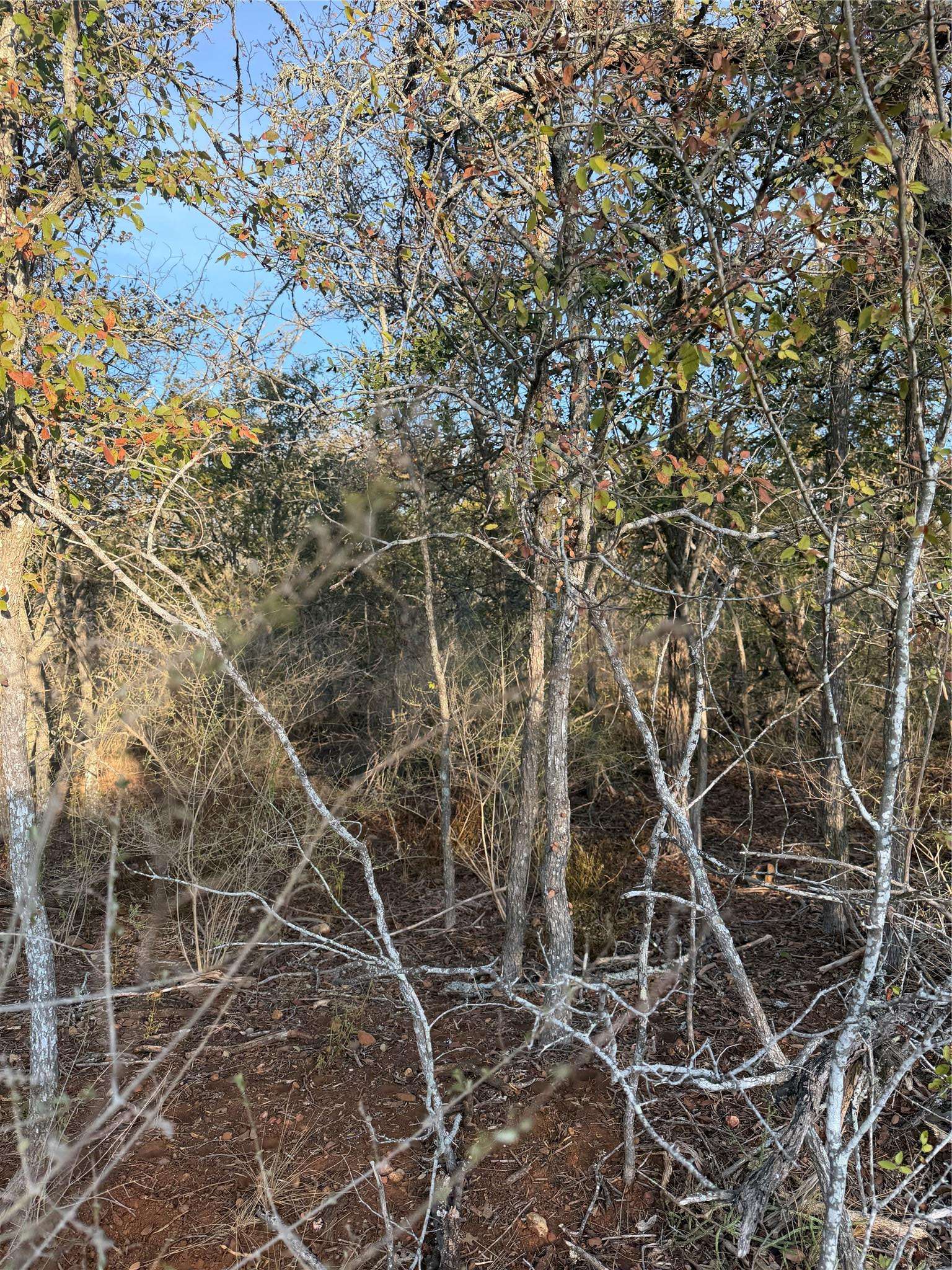 156 Helemano DR, Bastrop, TX 78602