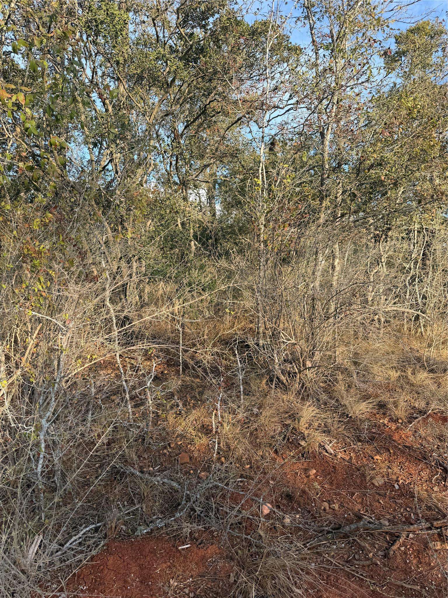 156 Helemano DR, Bastrop, TX 78602