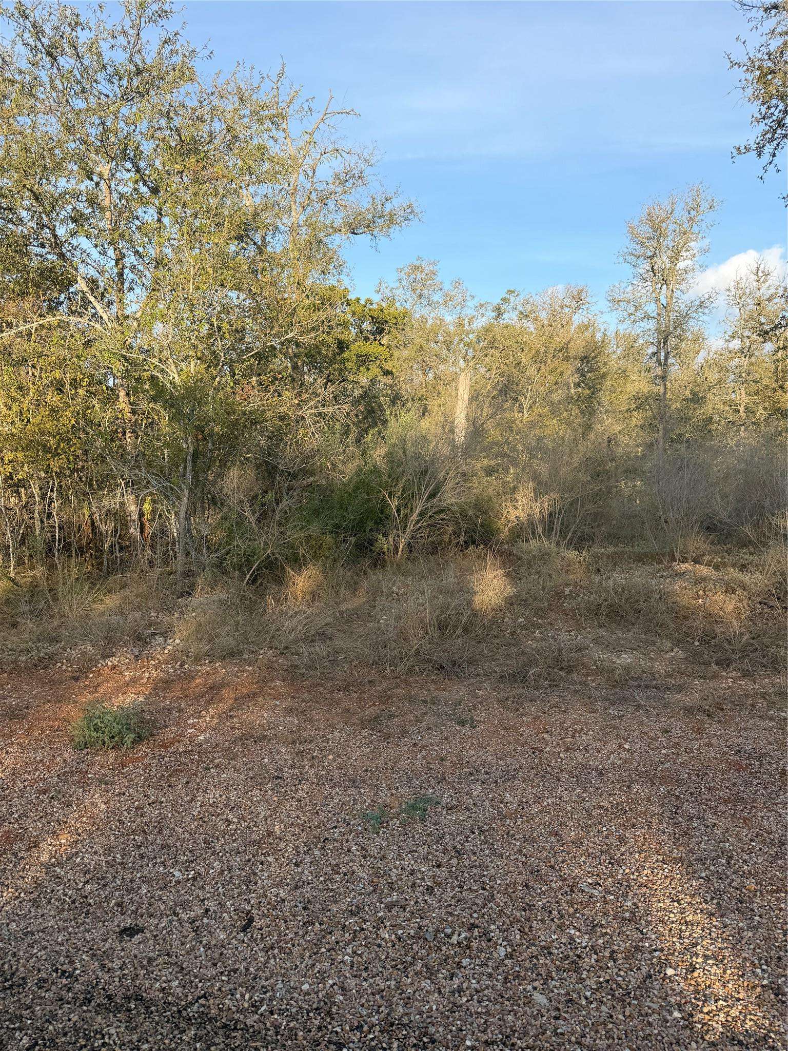 156 Helemano DR, Bastrop, TX 78602